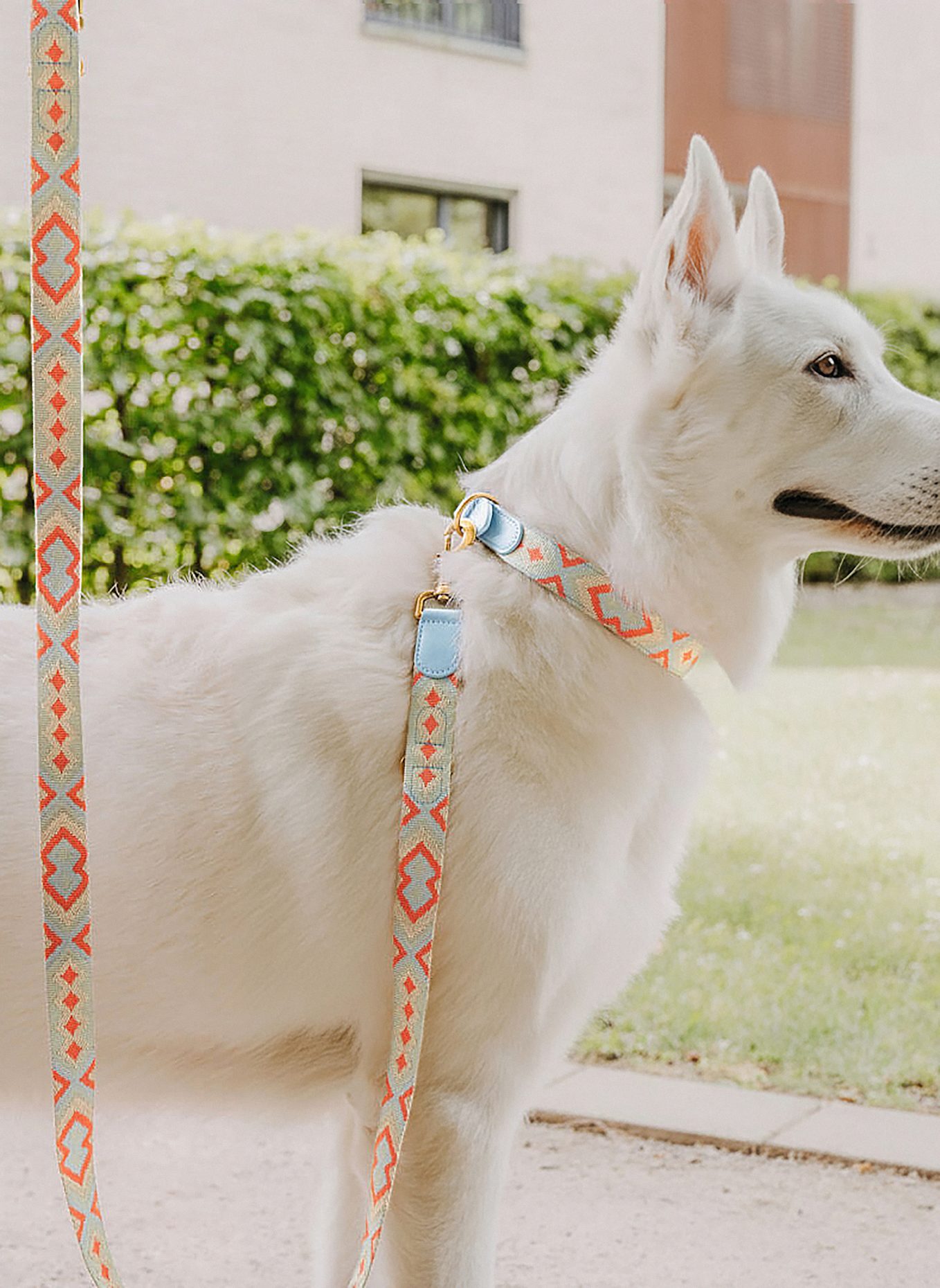 HEY LANA Hundeleine TRÈS CHIC: ROT/ HELLBLAU