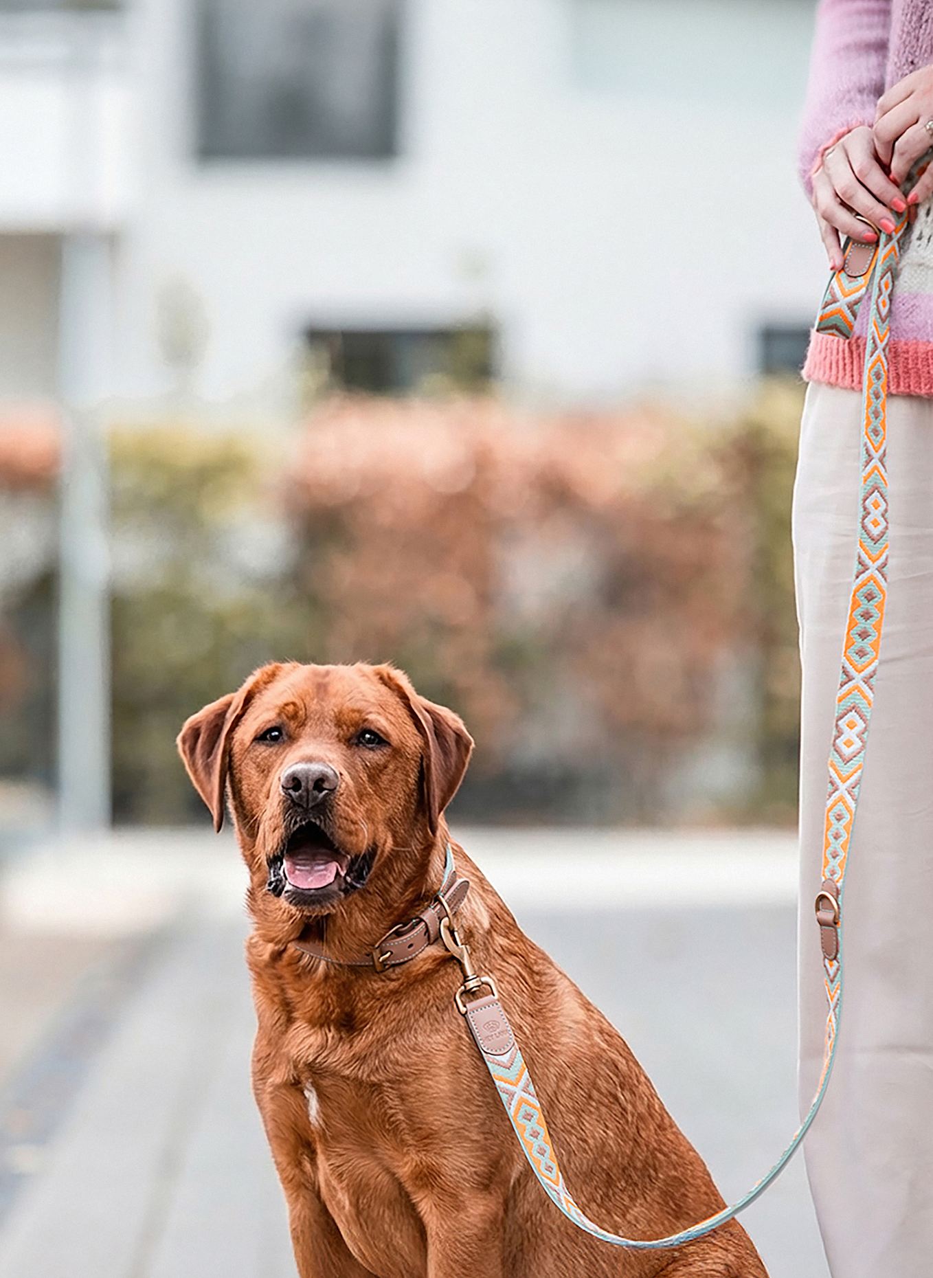 HEY LANA Hundeleine TRÈS CHIC: MINT/ ORANGE