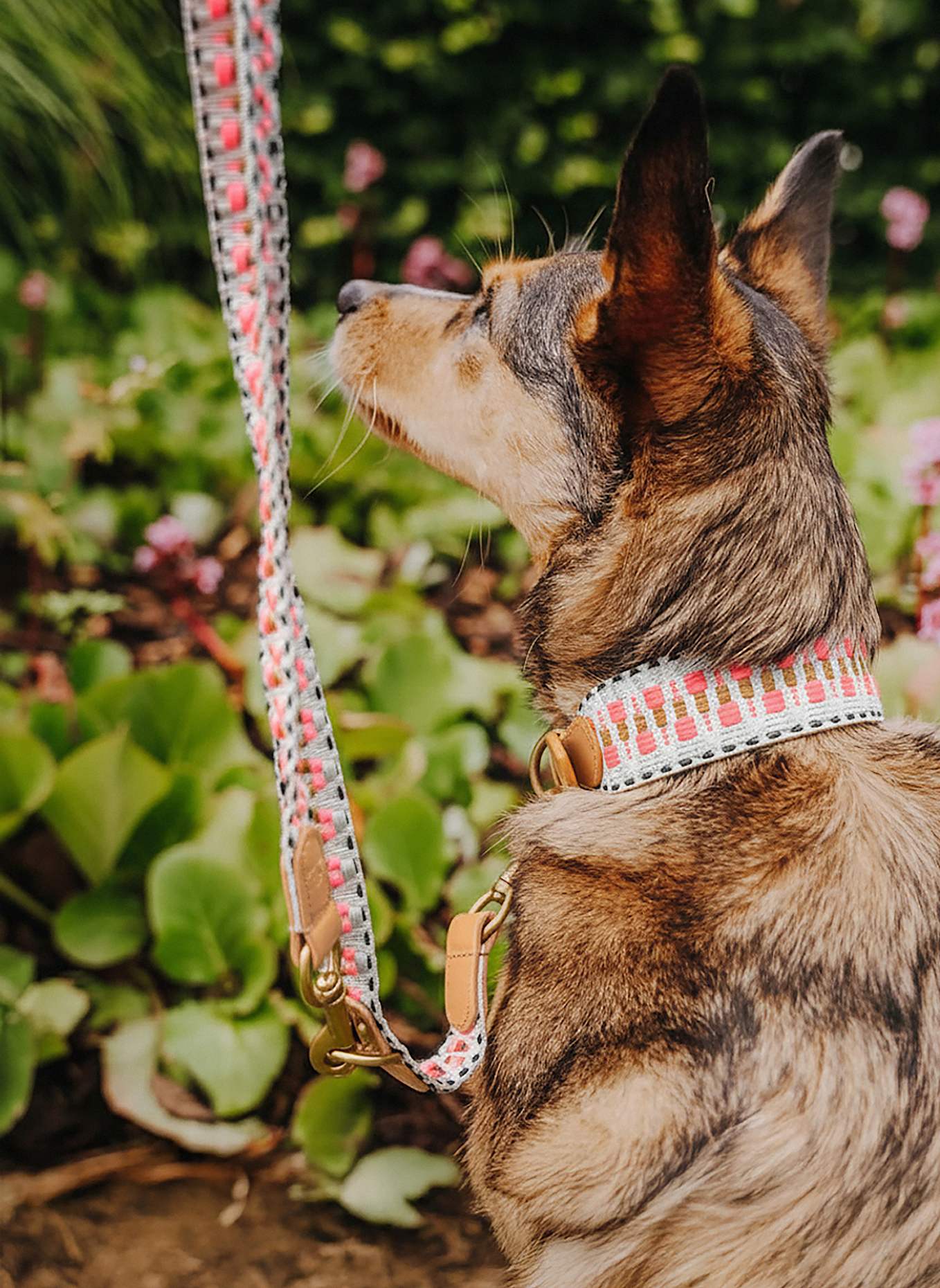 HEY LANA Hundeleine TRÈS CHIC: PINK/ BEIGE