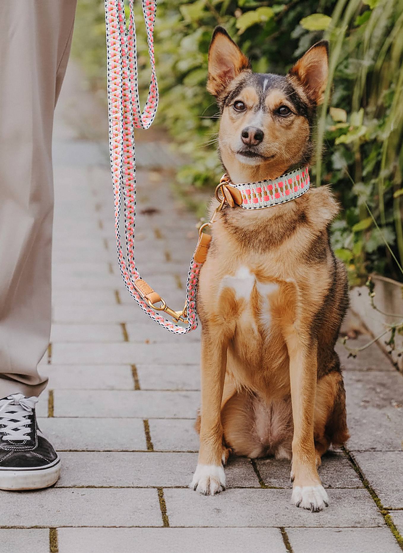 HEY LANA Hundeleine TRÈS CHIC: PINK/ BEIGE