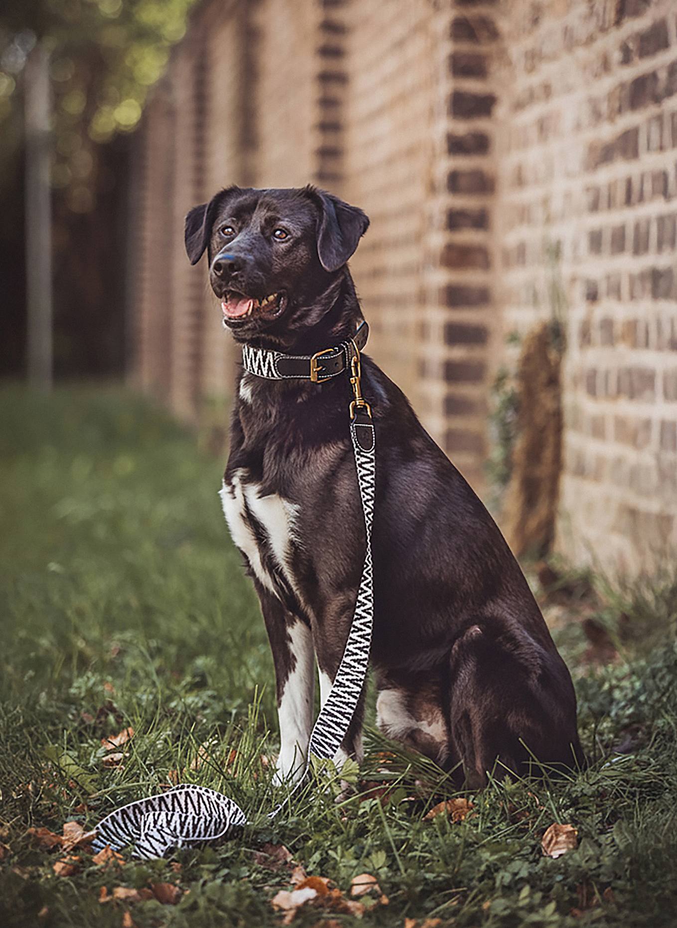 HEY LANA Hundeleine TRÈS CHIC: SCHWARZ/ WEISS