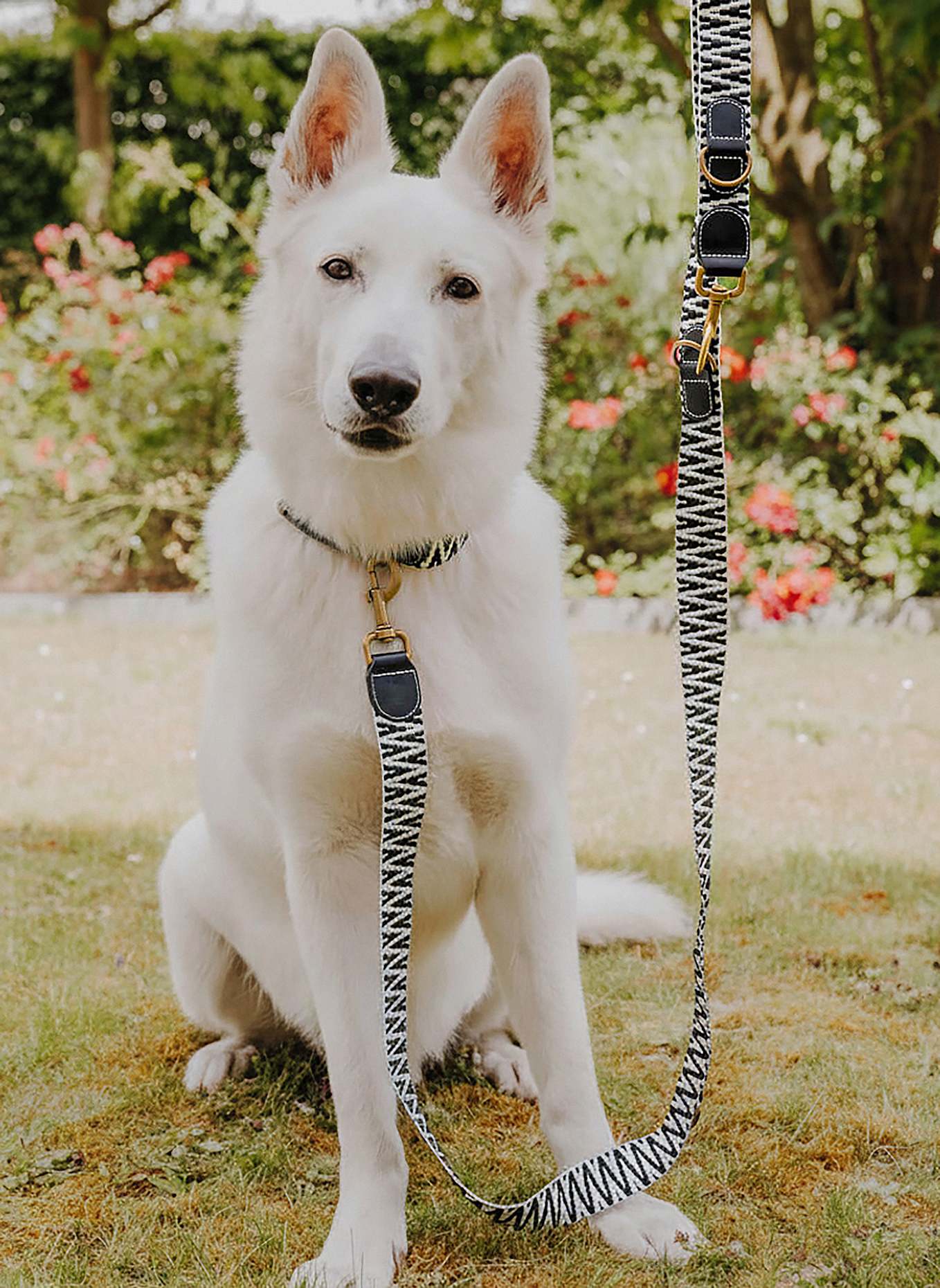 HEY LANA Hundeleine TRÈS CHIC: SCHWARZ/ WEISS