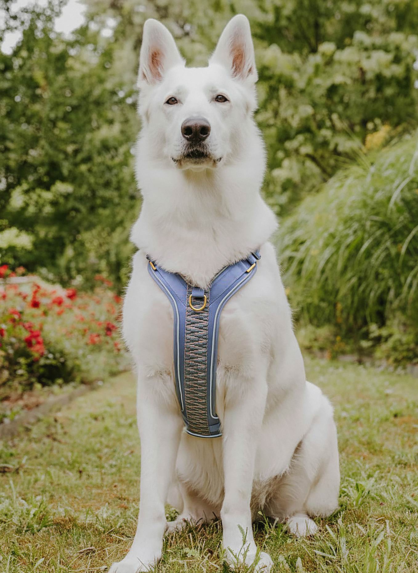 HEY LANA Hundegeschirr TRÈS CHIC: BLAU/ GRAU