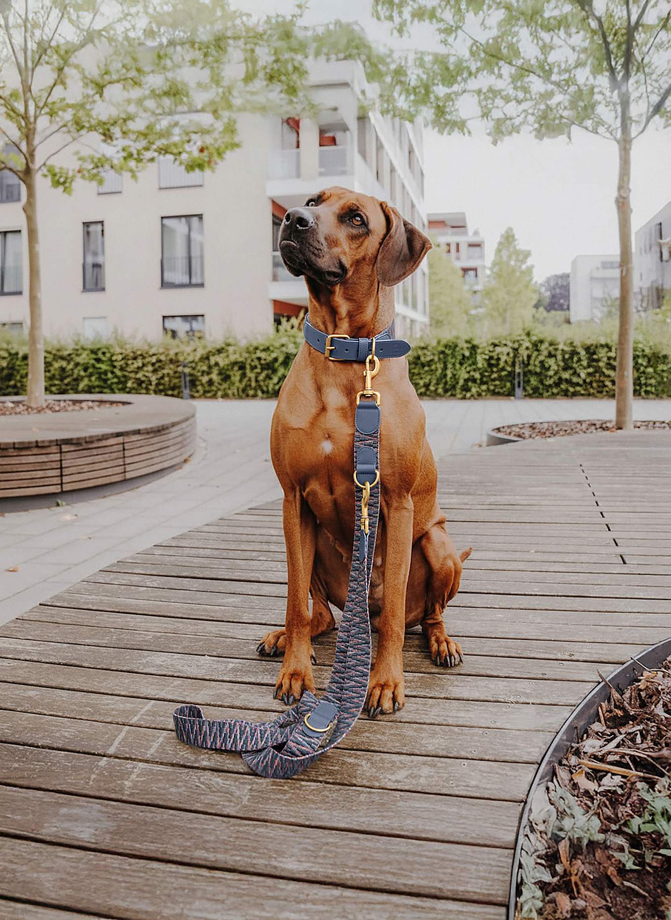 HEY LANA Hundeleine TRÈS CHIC: BLAU/ GRAU