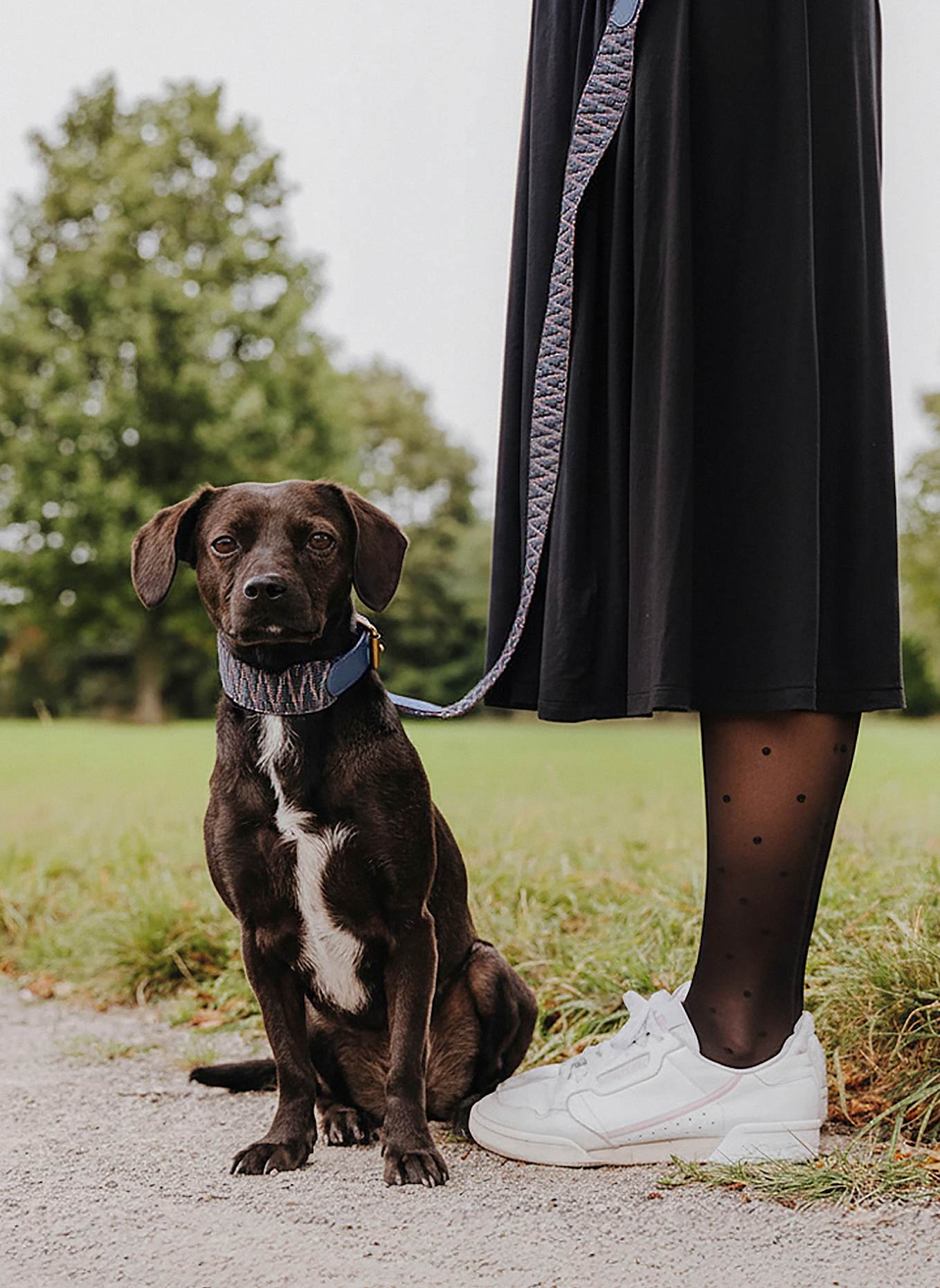 HEY LANA Hundeleine TRÈS CHIC: BLAU/ GRAU