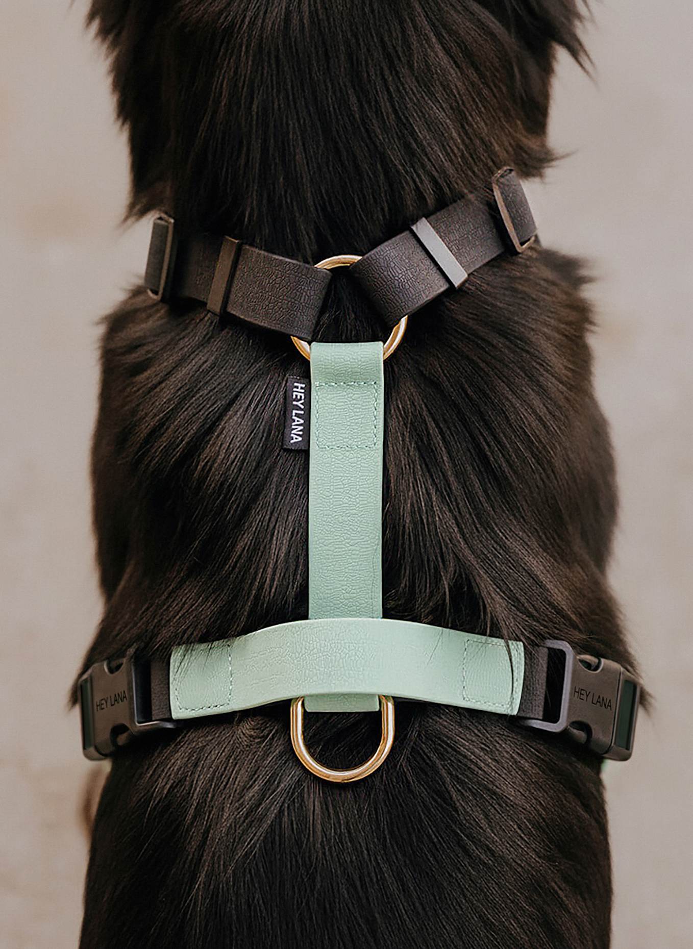 HEY LANA Hundegeschirr OUTDOOR FLEX: SCHWARZ/ MINT