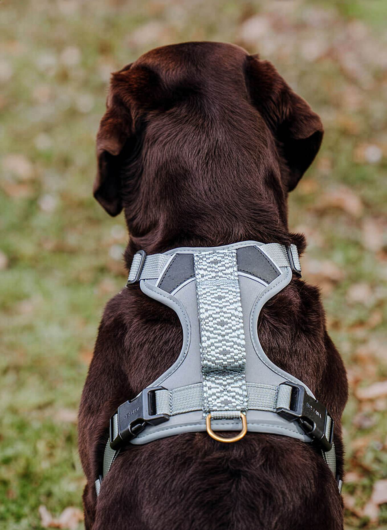 HEY LANA Hundegeschirr TRÈS CHIC: GRAU/ HELLBLAU