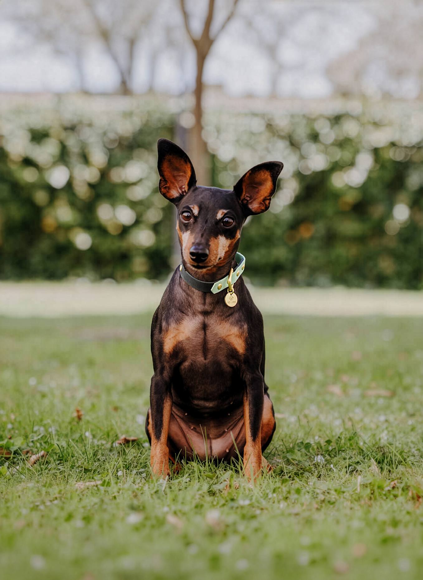 HEY LANA Halsband OUTDOOR FLEX: SCHWARZ/ MINT