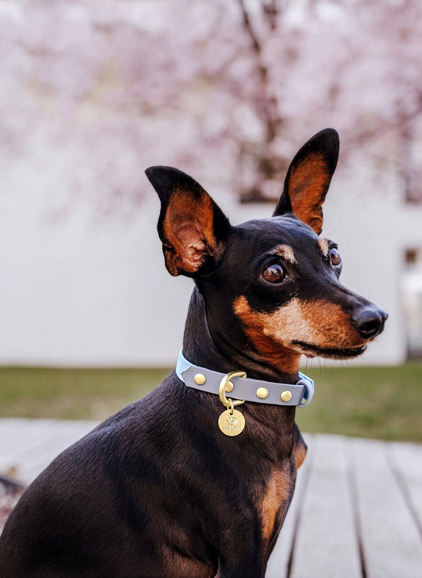 HEY LANA Halsband OUTDOOR FLEX: TAUPE/ HELLBLAU