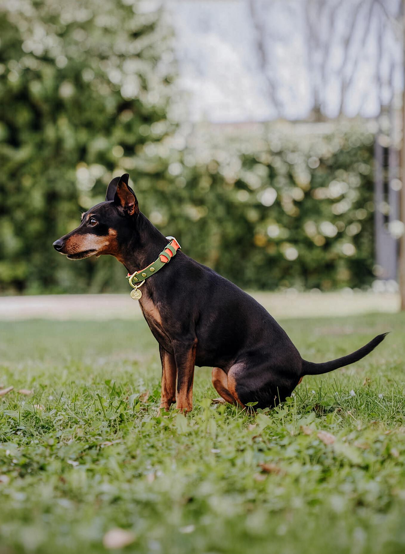 HEY LANA Halsband OUTDOOR FLEX: NEONORANGE/ GRÜN
