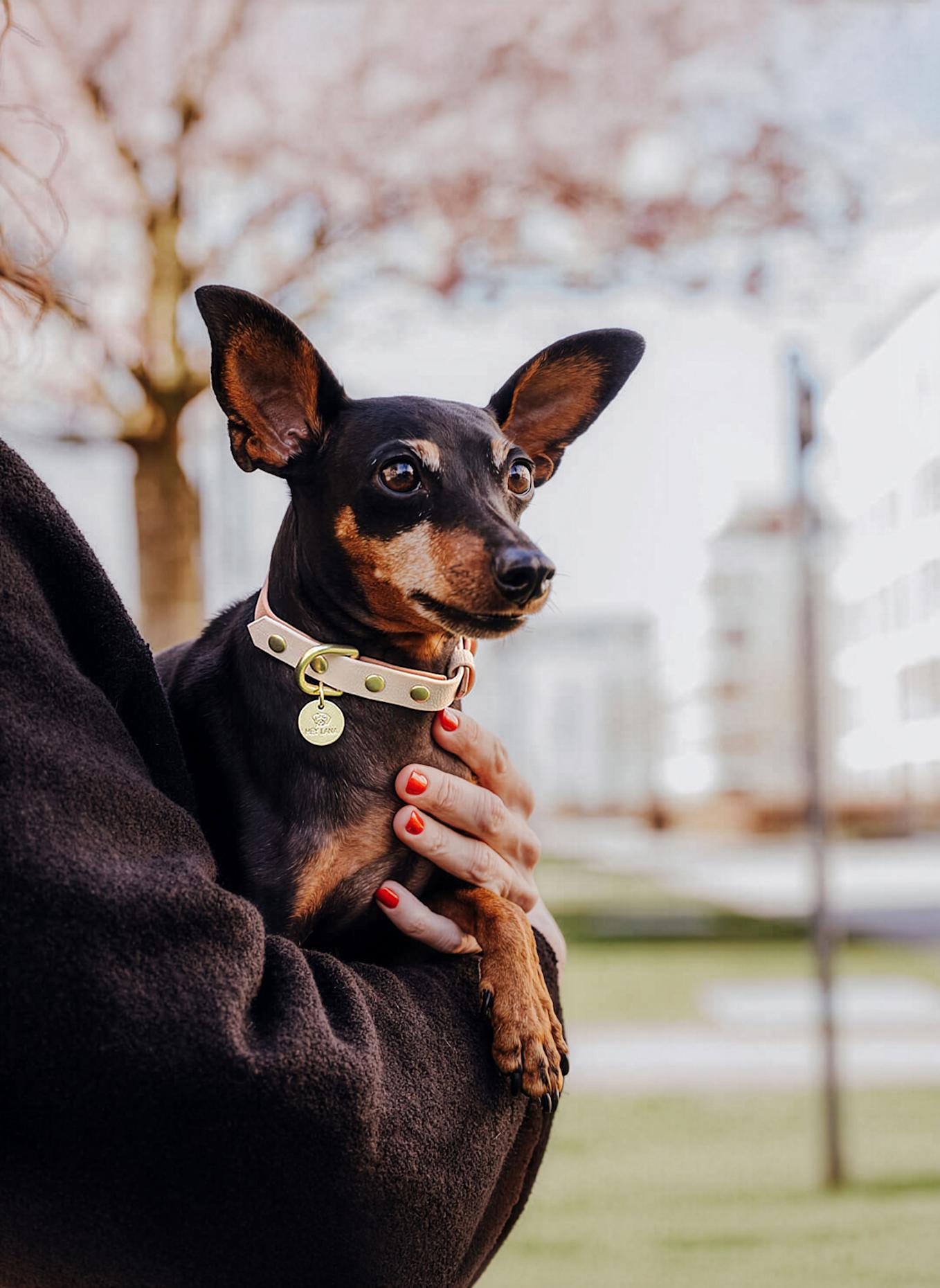 HEY LANA Halsband OUTDOOR FLEX: CAMEL/ BEIGE