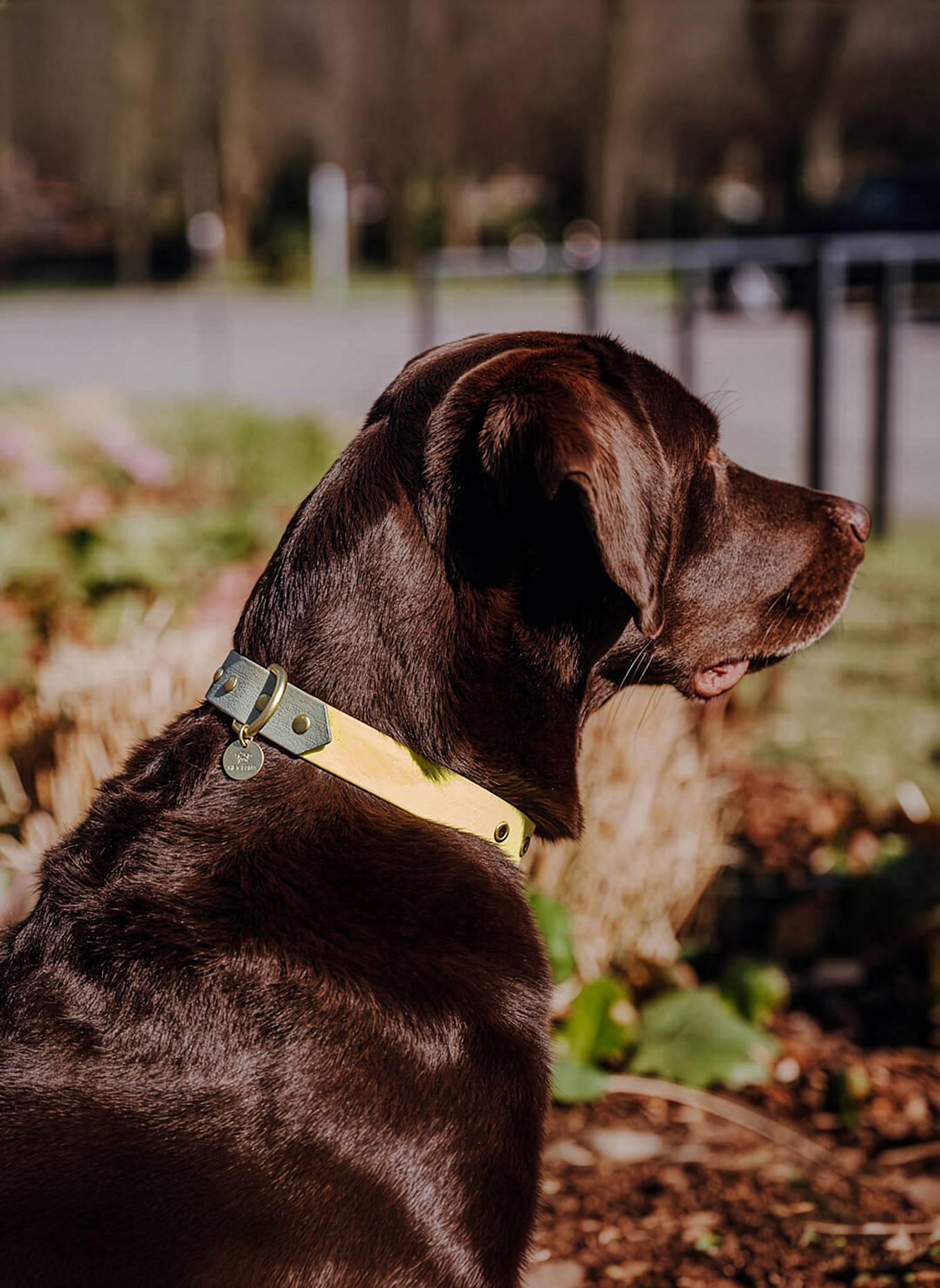 HEY LANA Halsband OUTDOOR FLEX: HELLGELB/ KHAKI