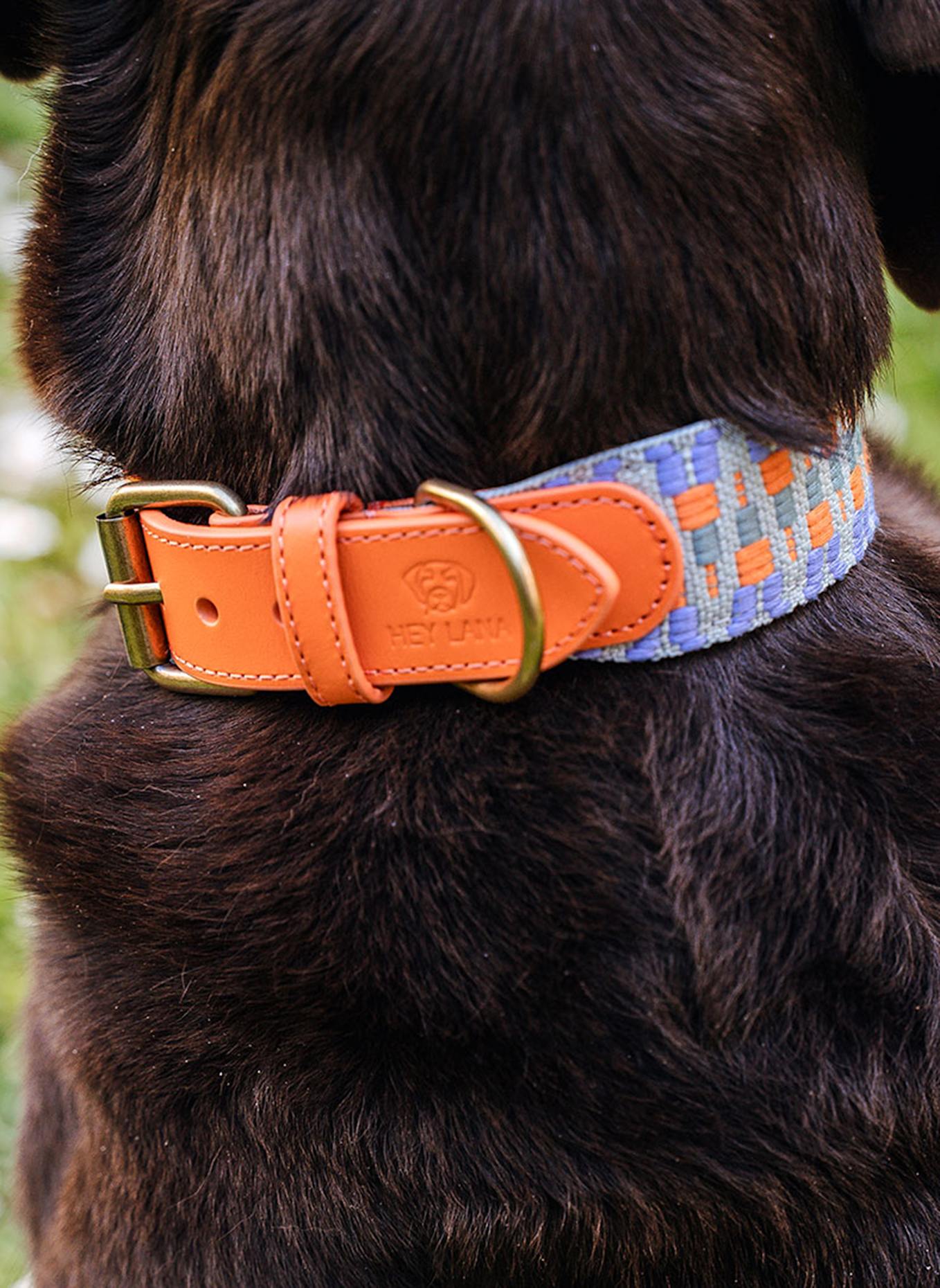 HEY LANA Hundehalsband TRÈS CHIC: ORANGE/ HELLGRÜN