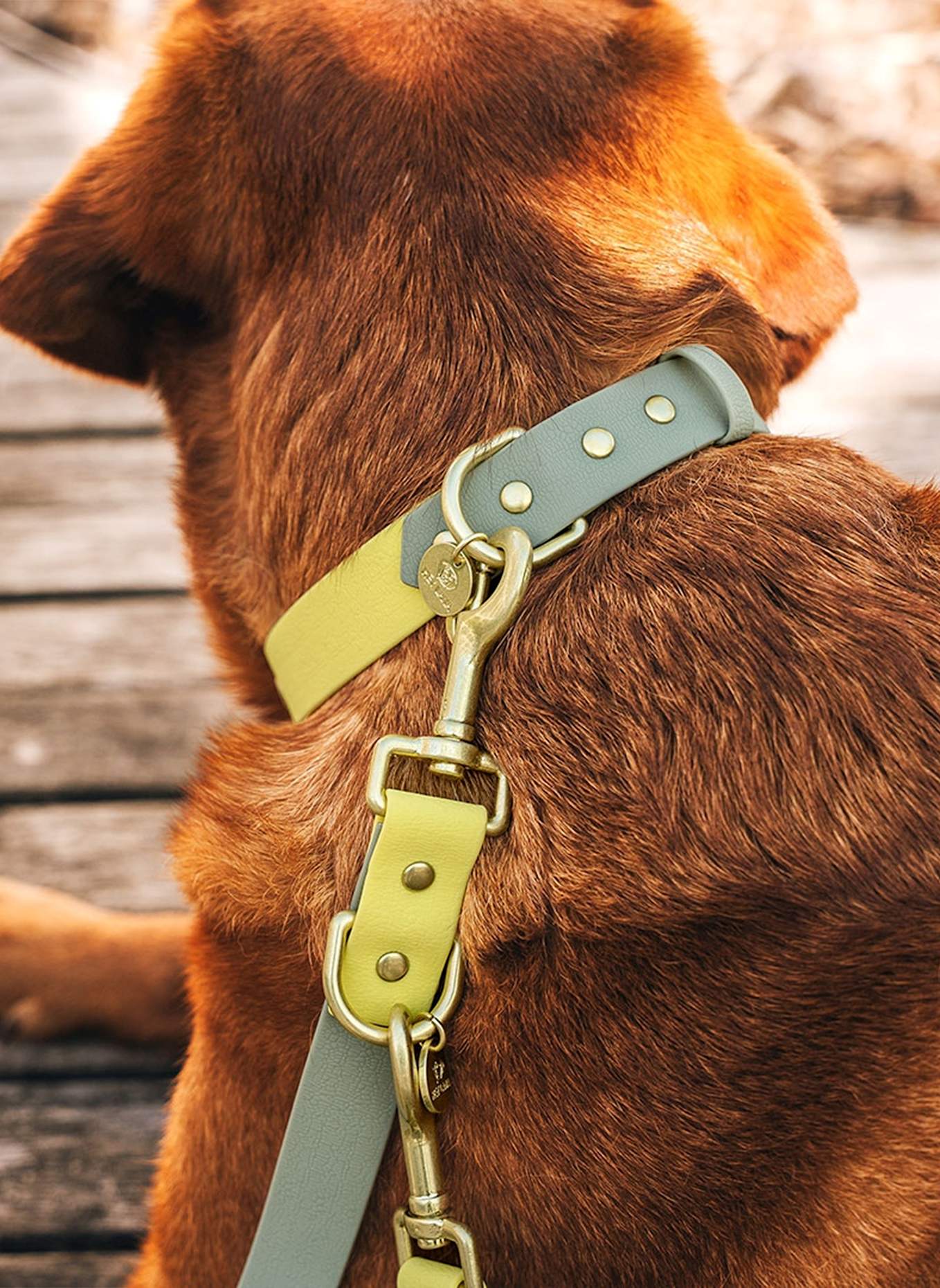 HEY LANA Halsband OUTDOOR FLEX: HELLGELB/ KHAKI