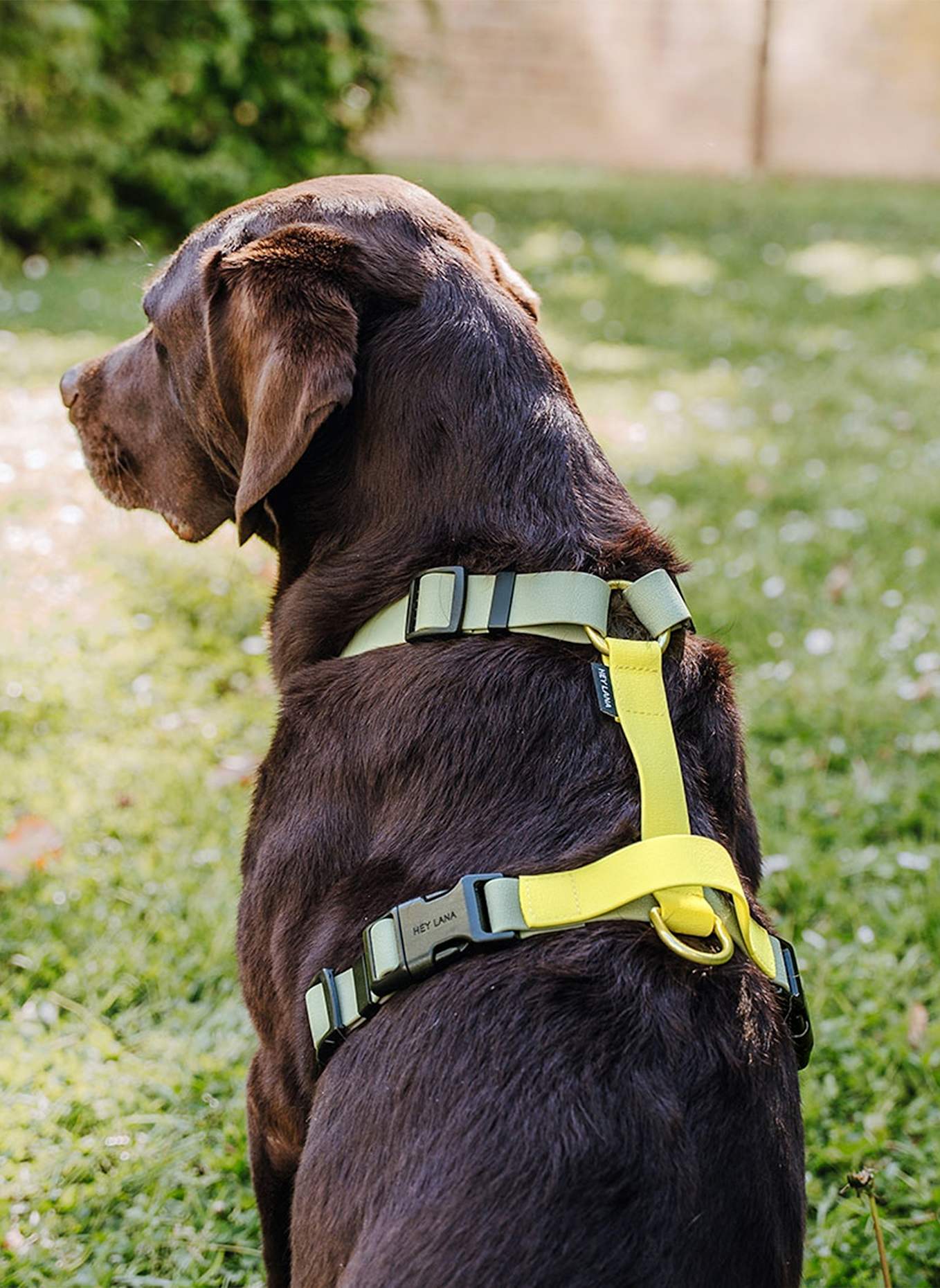HEY LANA Hundegeschirr OUTDOOR FLEX: HELLGELB/ KHAKI