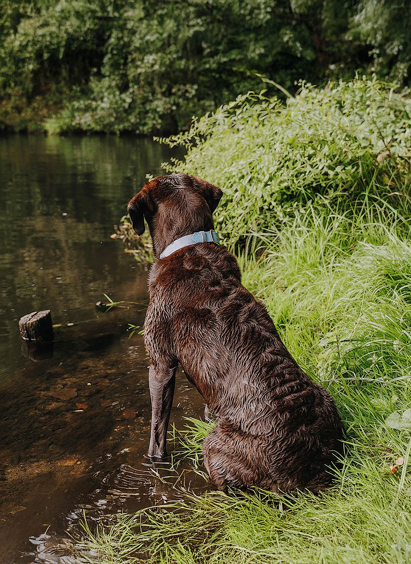 HEY LANA Halsband OUTDOOR FLEX: TAUPE/ HELLBLAU