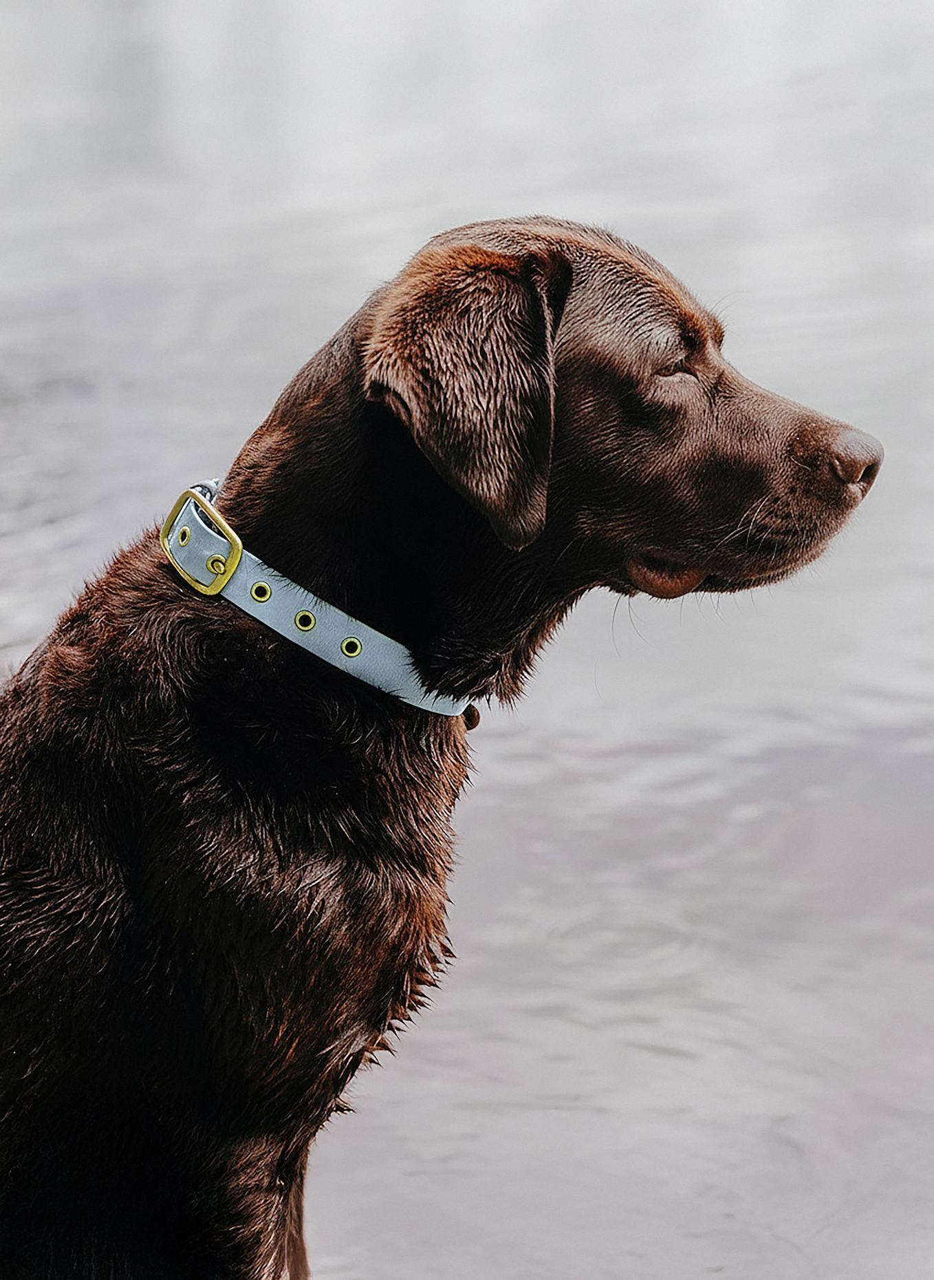 HEY LANA Halsband OUTDOOR FLEX: TAUPE/ HELLBLAU