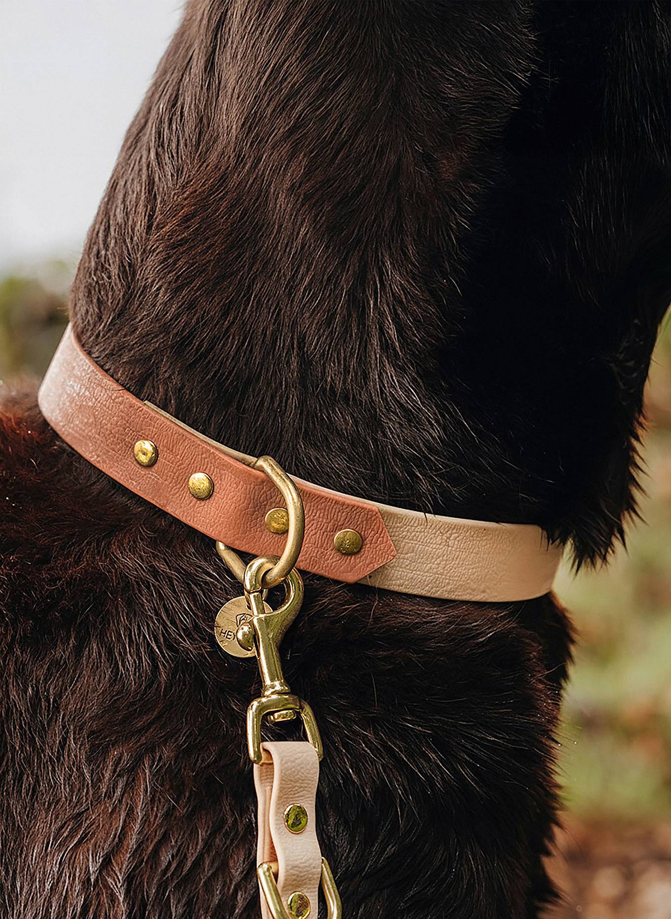 HEY LANA Halsband OUTDOOR FLEX: CAMEL/ BEIGE