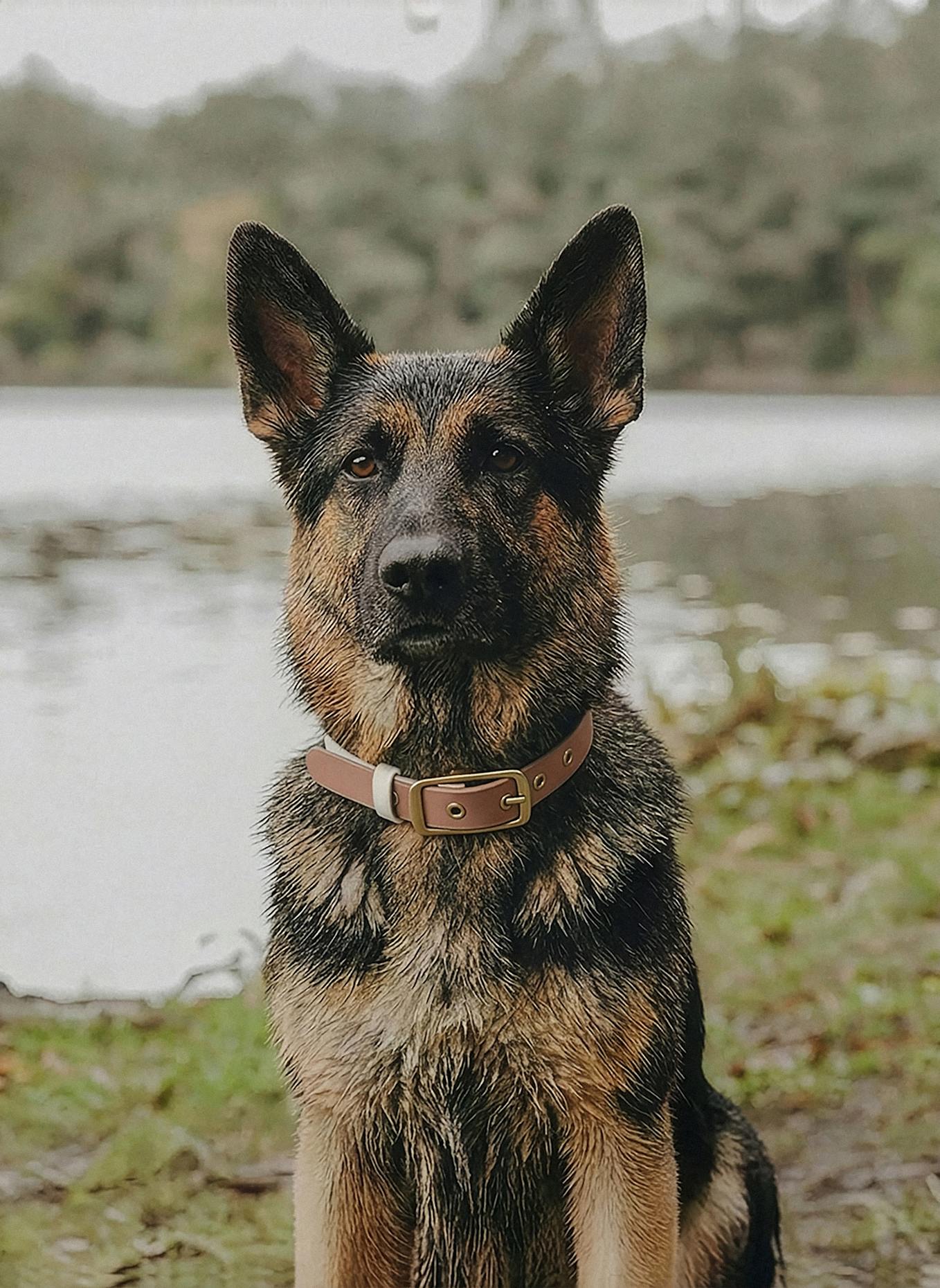 HEY LANA Halsband OUTDOOR FLEX: CAMEL/ BEIGE