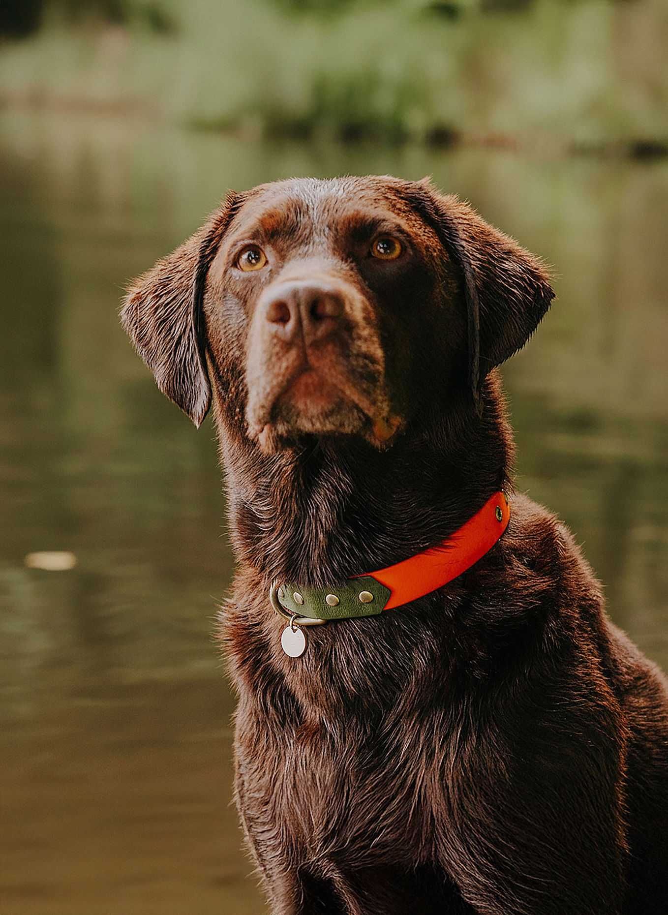 HEY LANA Halsband OUTDOOR FLEX: NEONORANGE/ GRÜN