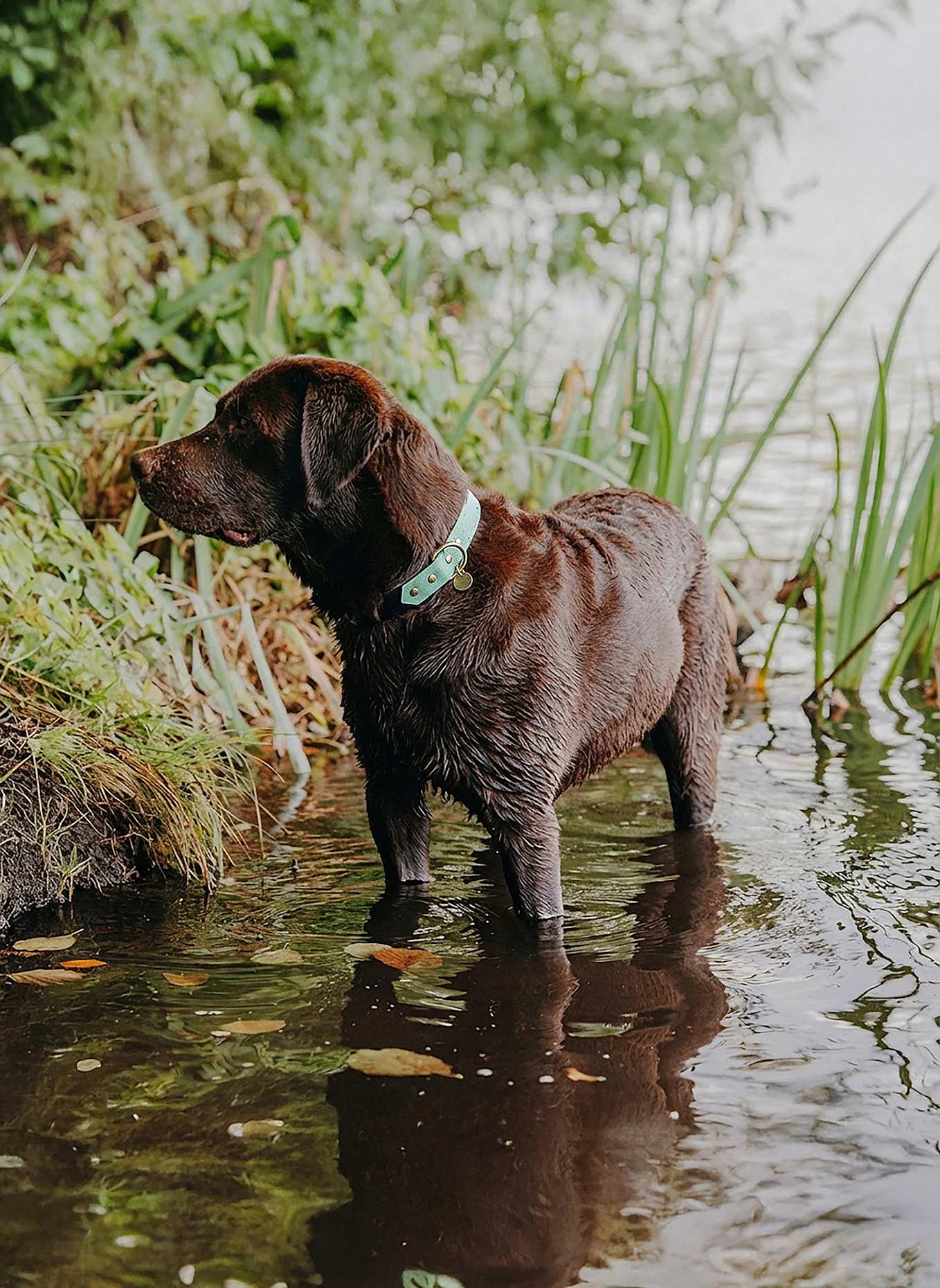 HEY LANA Halsband OUTDOOR FLEX: SCHWARZ/ MINT