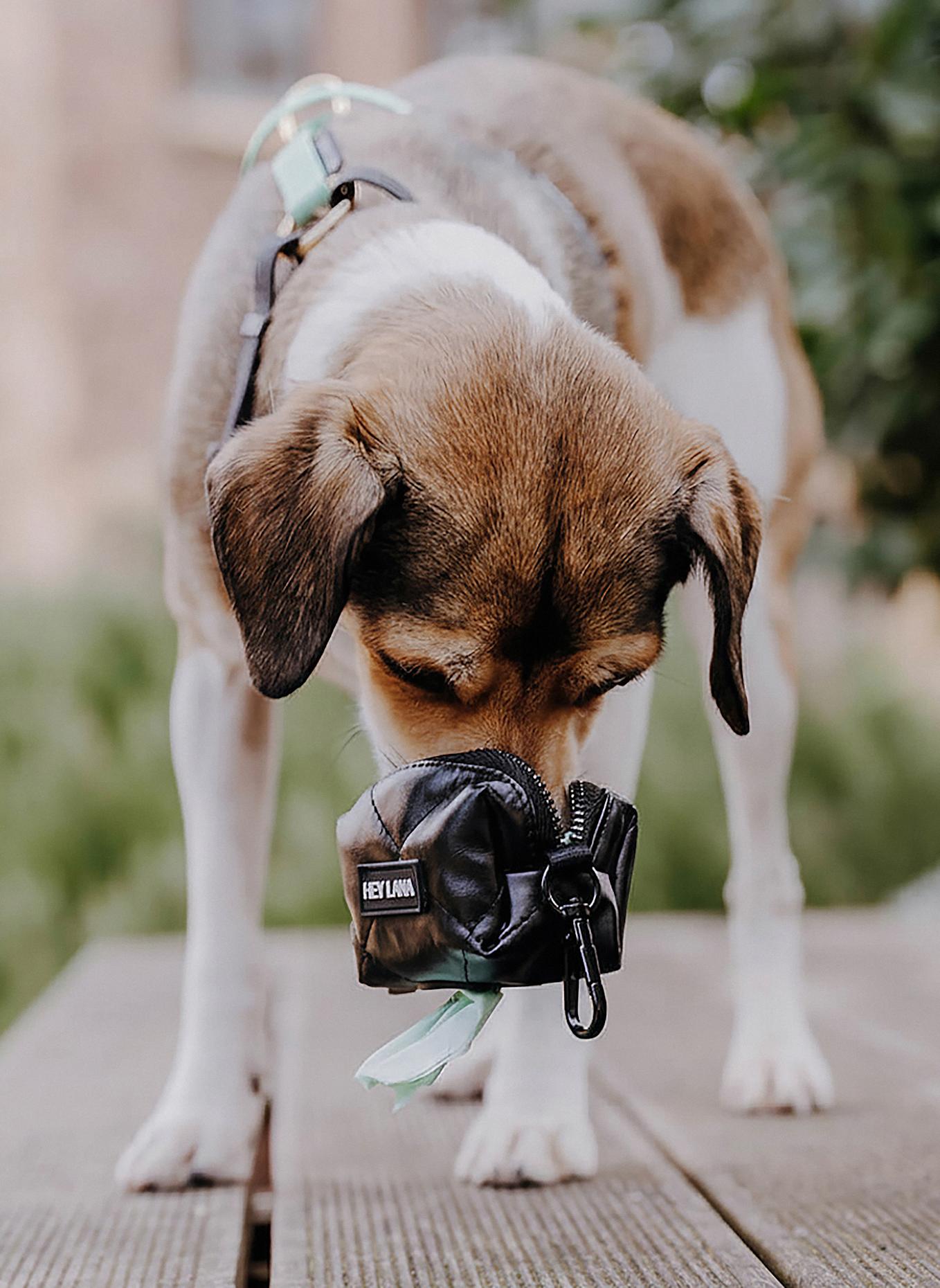 HEY LANA Hygienebeutelspender URBAN CLASSIC: SCHWARZ