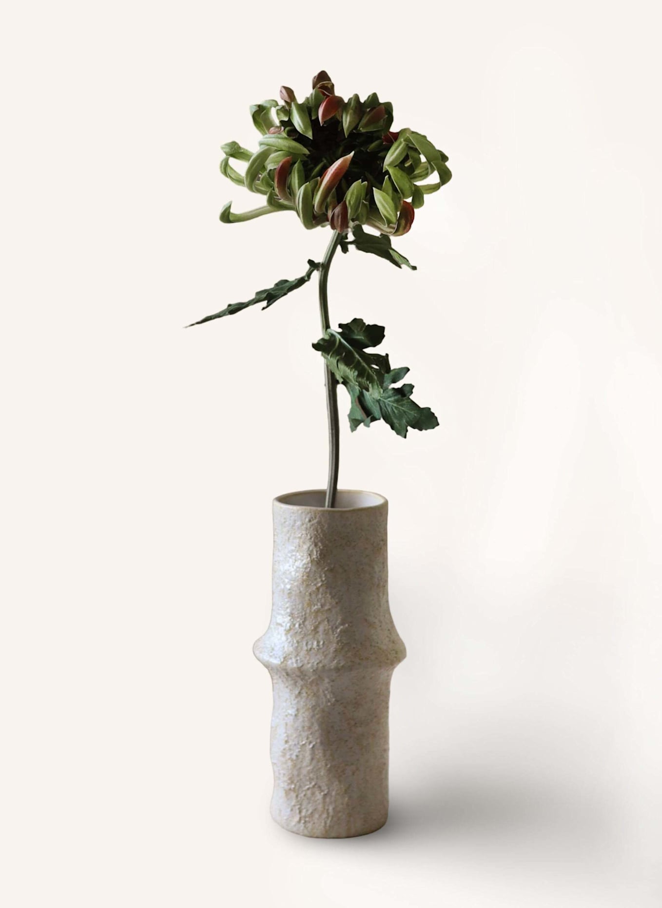 Botané Kunstblume CHRYSANTHEMUM FLOWER: GRÜN