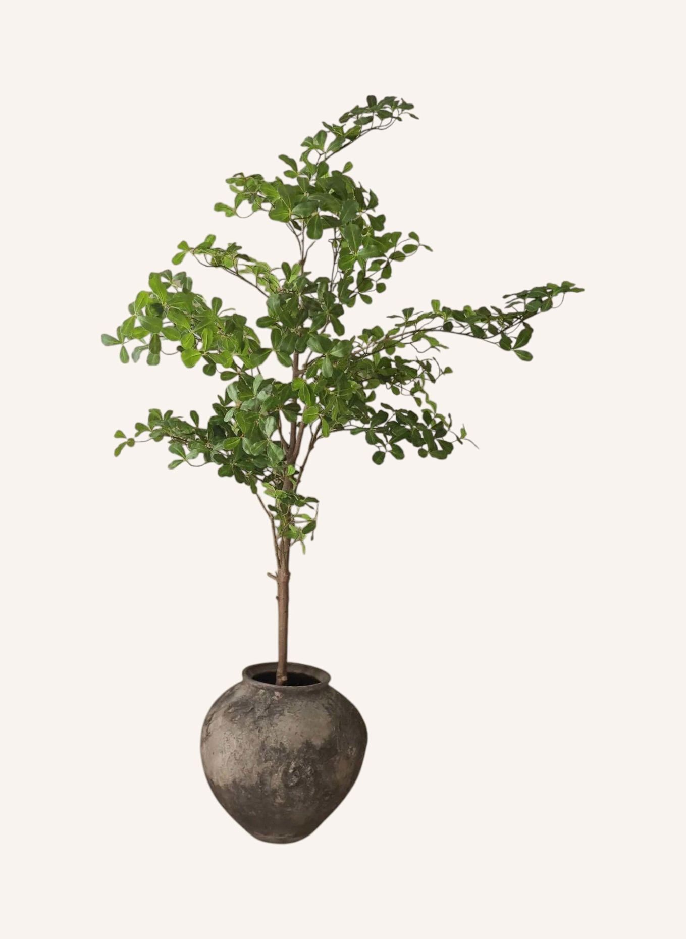 Botané Kunstbaum TROPICAL ALMOND: GRÜN