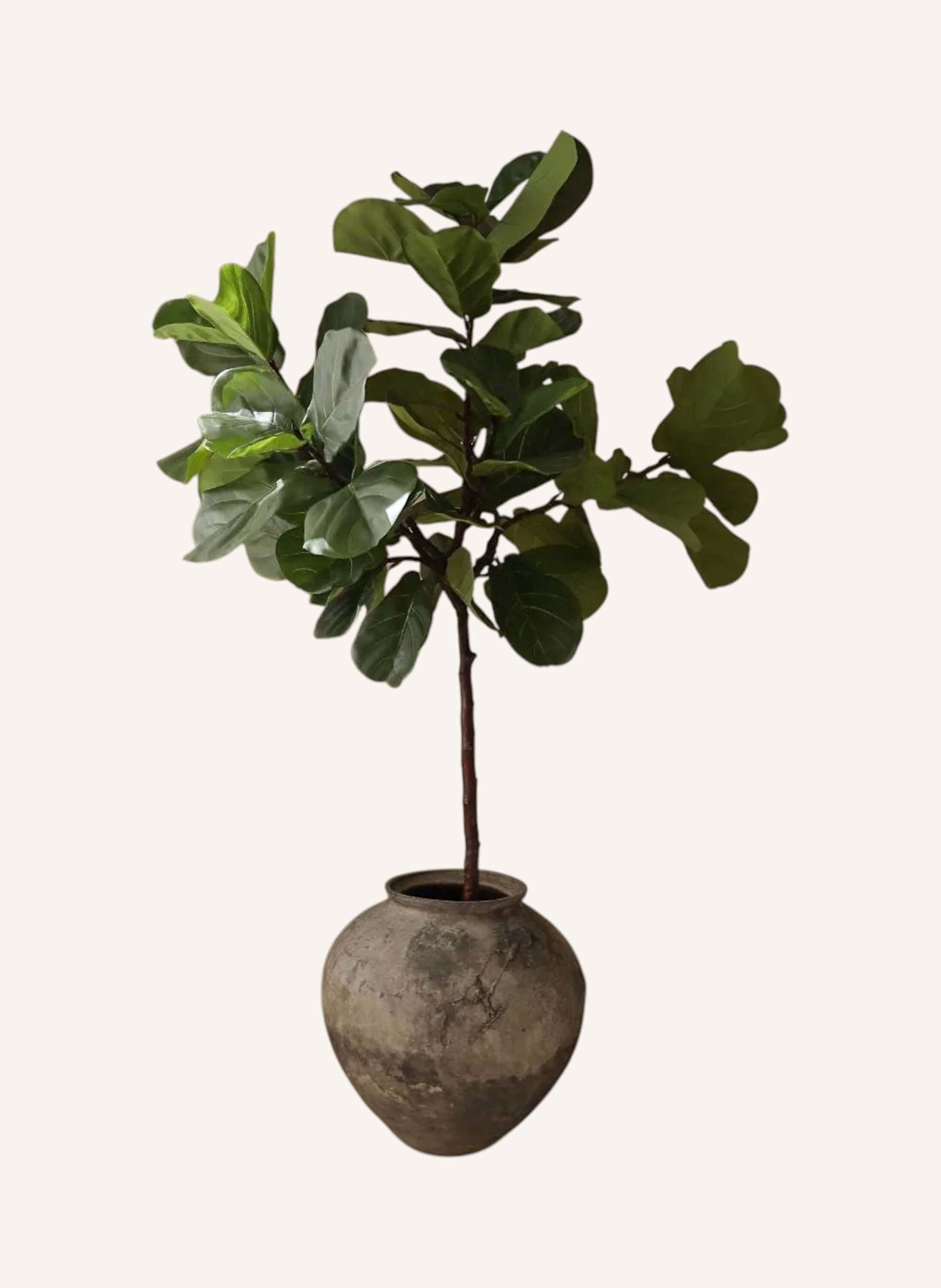 Botané Kunstbaum FIDDLE LEAF FIG