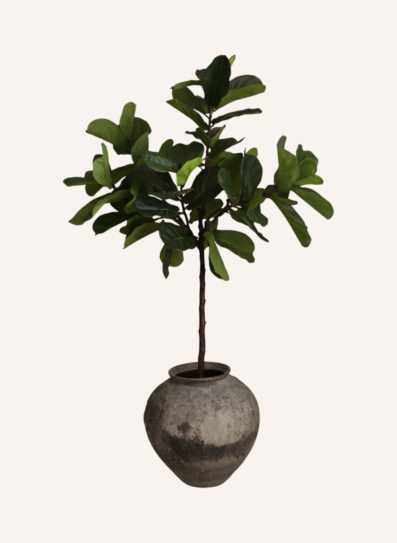 Botané Kunstbaum FIDDLE LEAF FIG