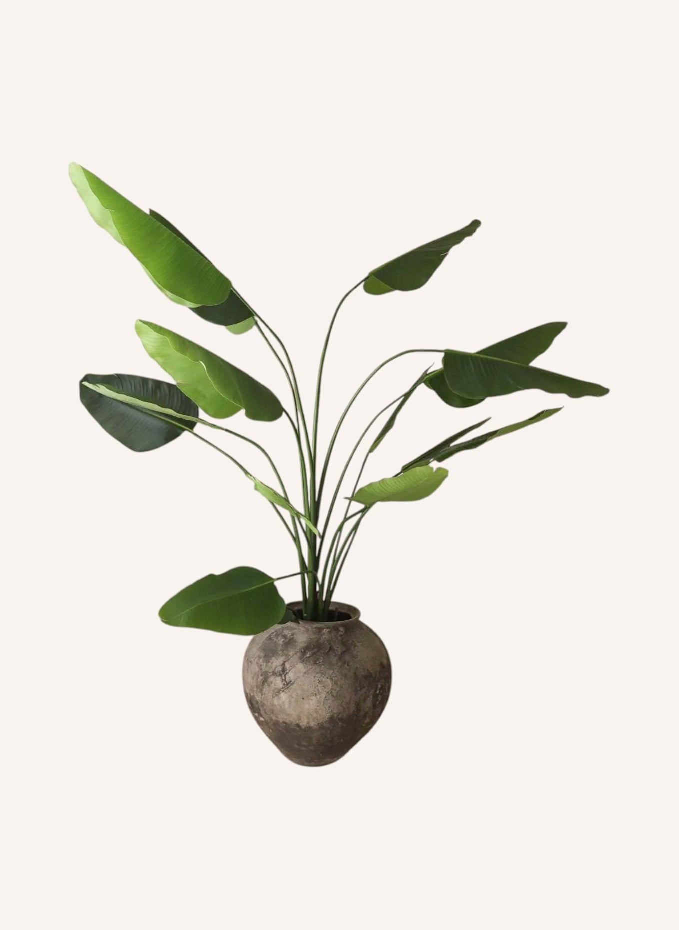 Botané Kunstpflanze TRAVELLER PALM