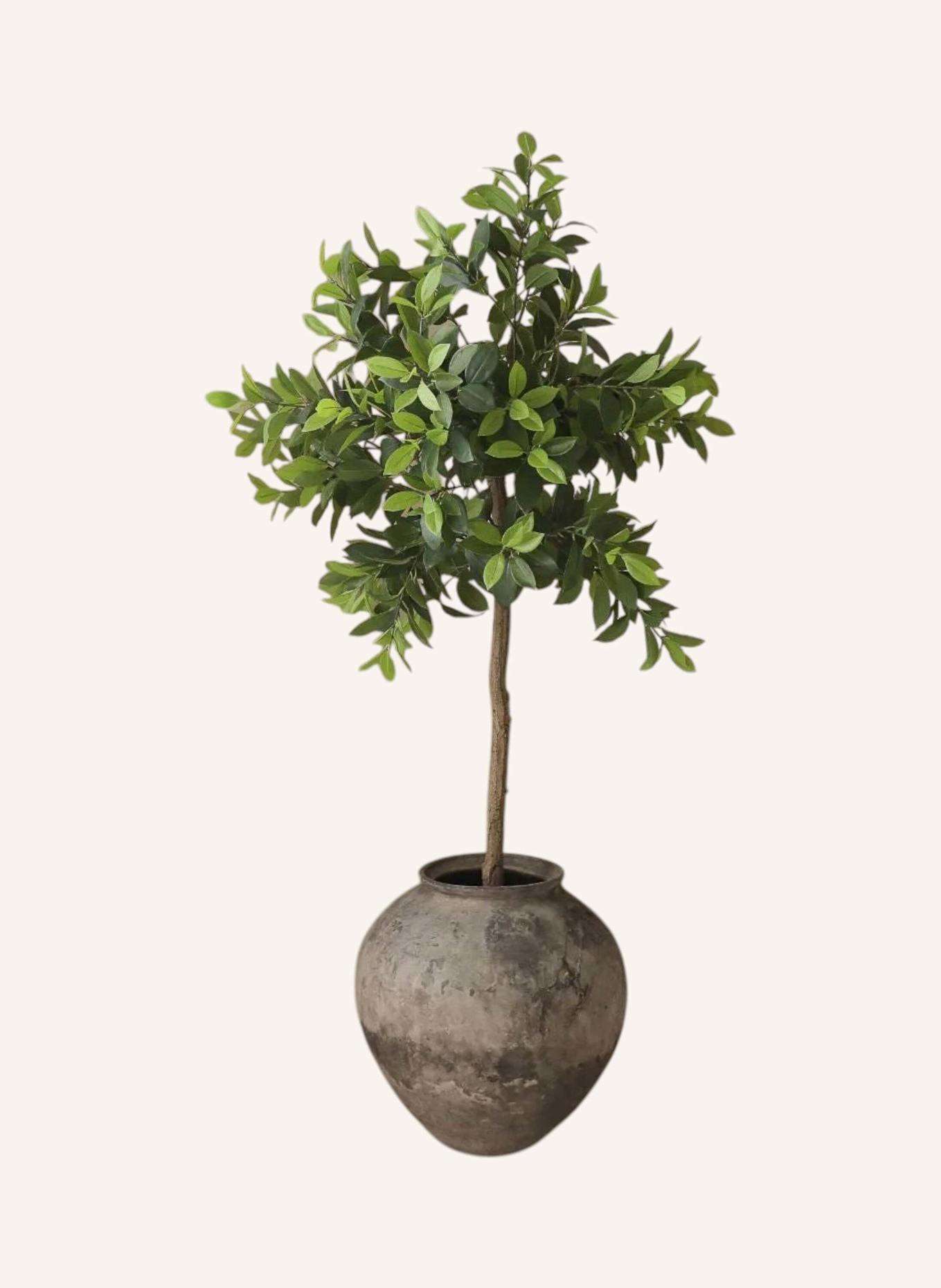 Botané Kunstbaum MONEY TREE