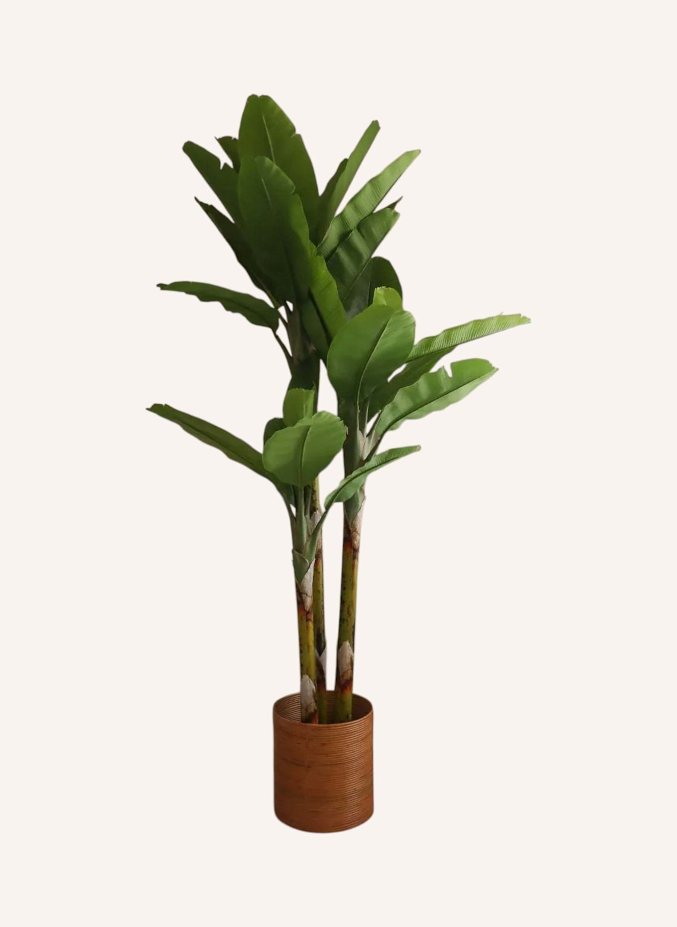 Botané Kunstbaum BANANA TREE