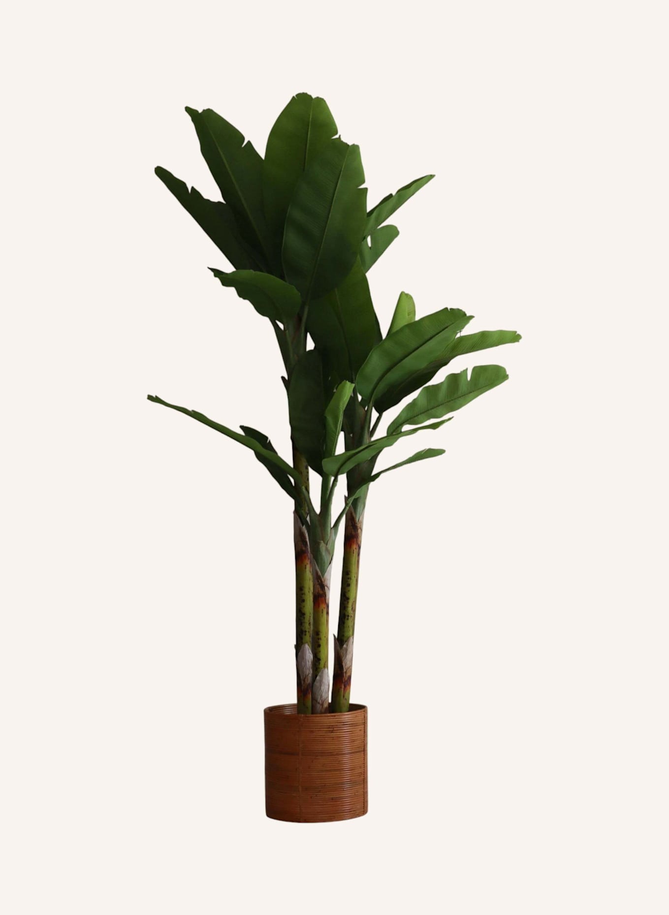 Botané Kunstbaum BANANA TREE
