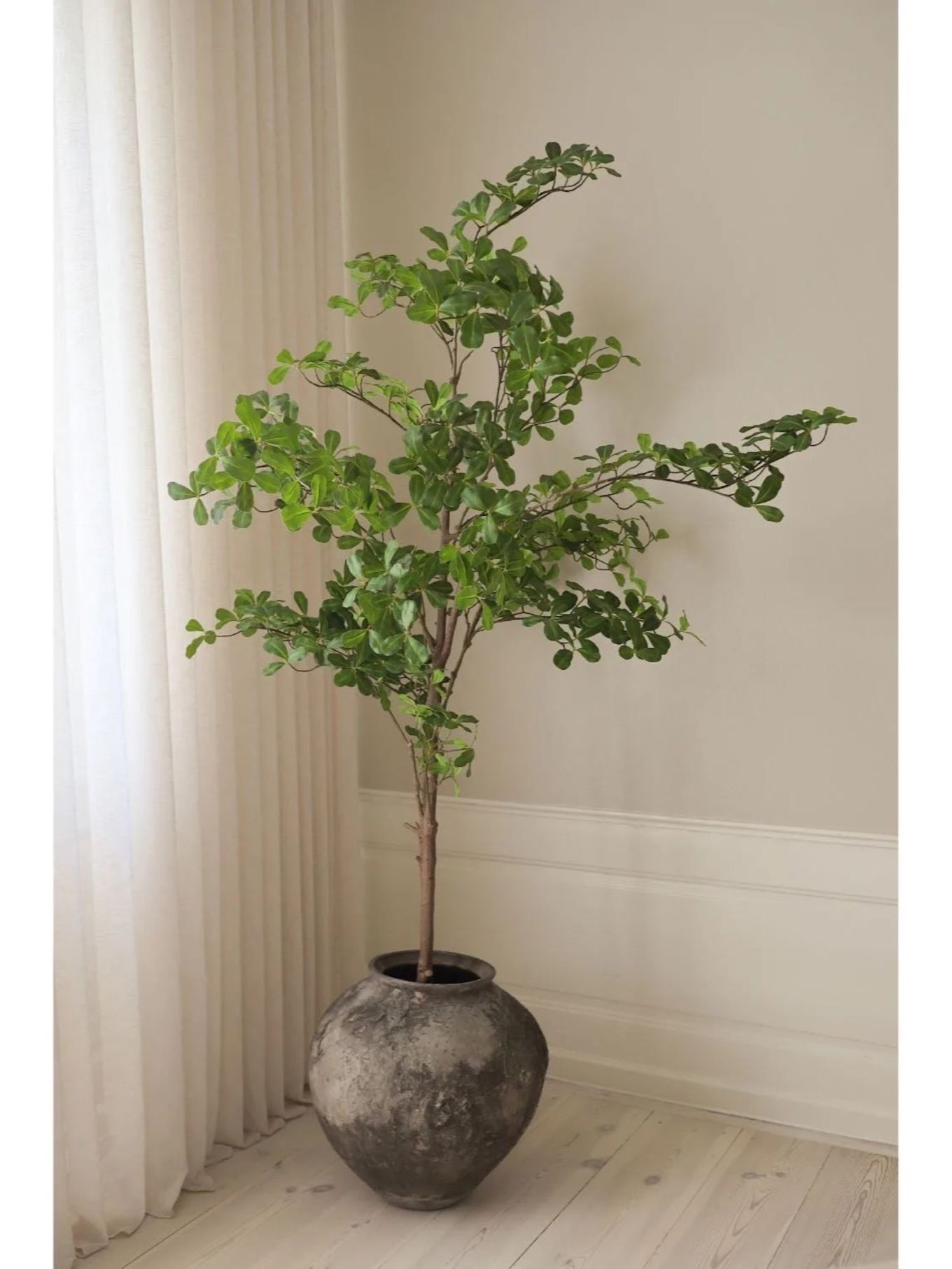 Botané Kunstbaum TROPICAL ALMOND: GRÜN