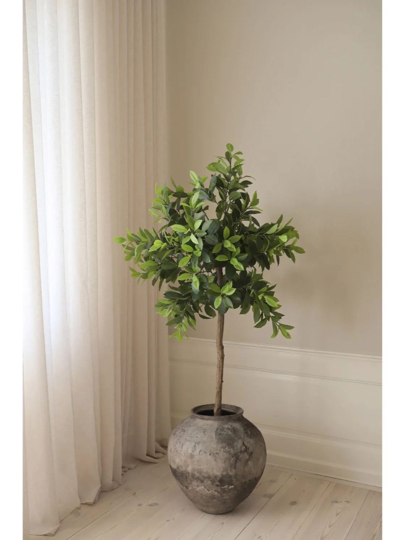 Botané Kunstbaum MONEY TREE