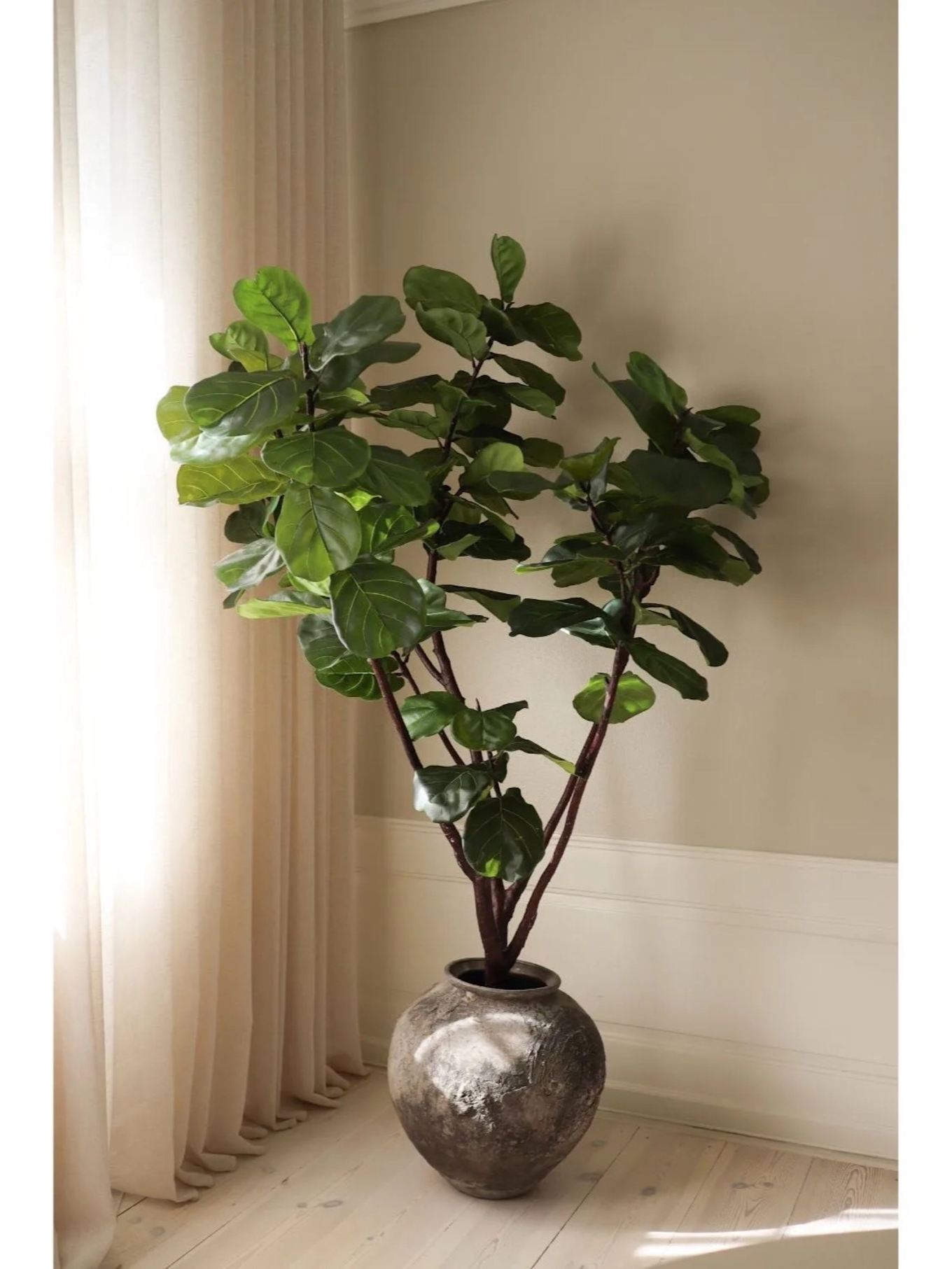 Botané Kunstbaum FIDDLE LEAF FIG 1