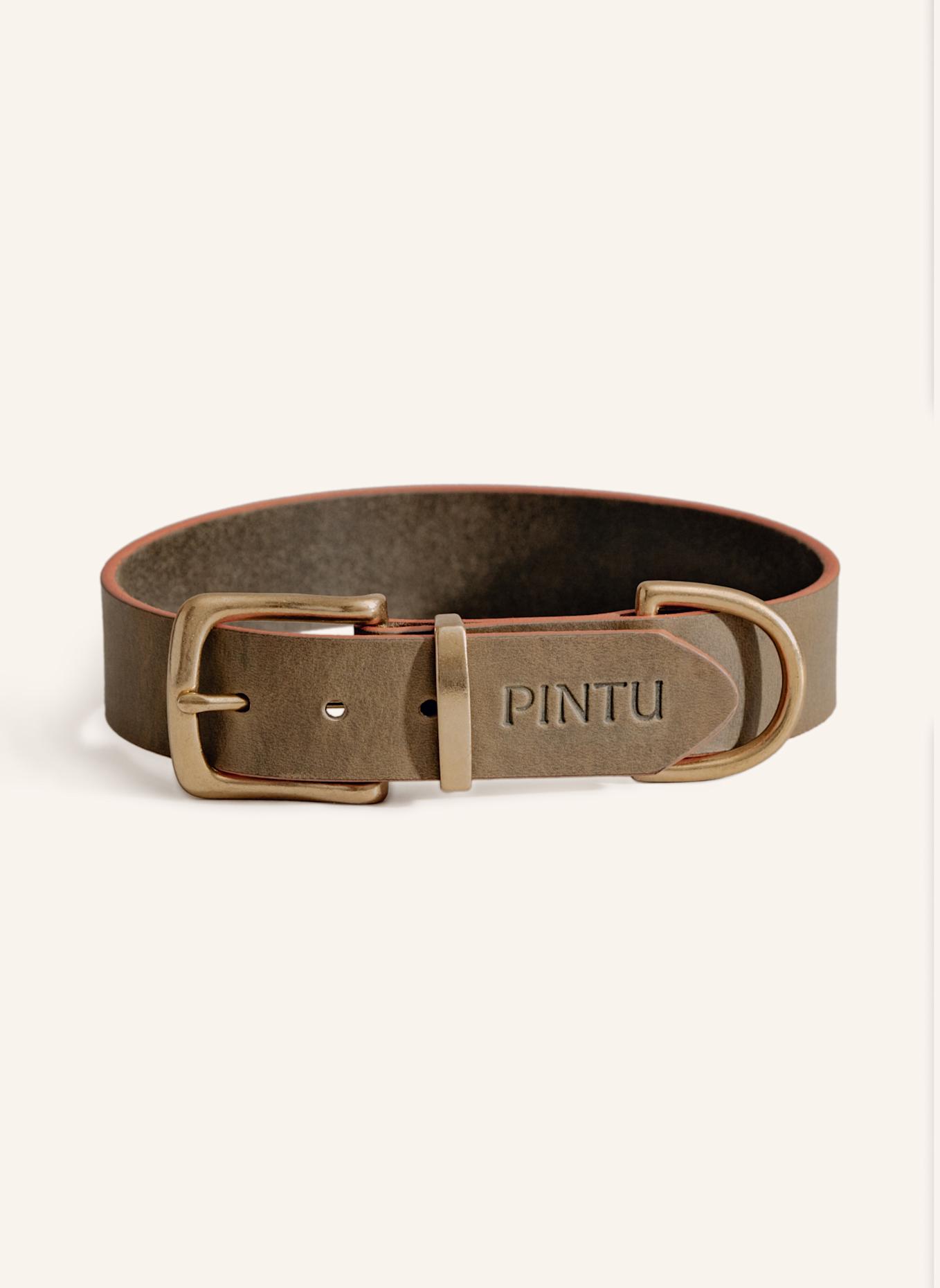 Pintu Hundehalsband MONTE mit Beschlag aus Messing: OLIV/ ORANGE