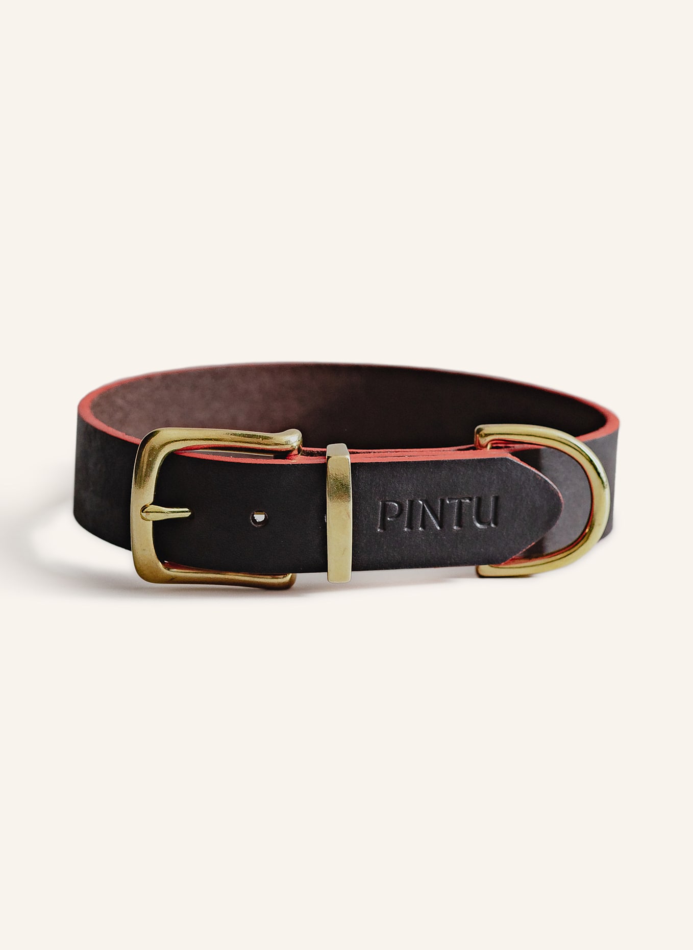 Pintu Hundehalsband MONTE mit Beschlag aus Messing: BRAUN/ ORANGE