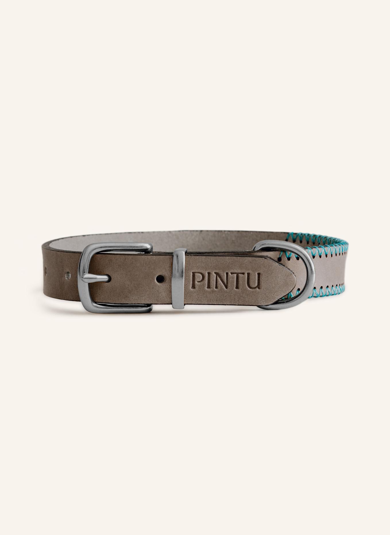 Pintu Hundehalsband PORTHOS mit Beschlag aus Edelstahl: GRAU/ TÜRKIS