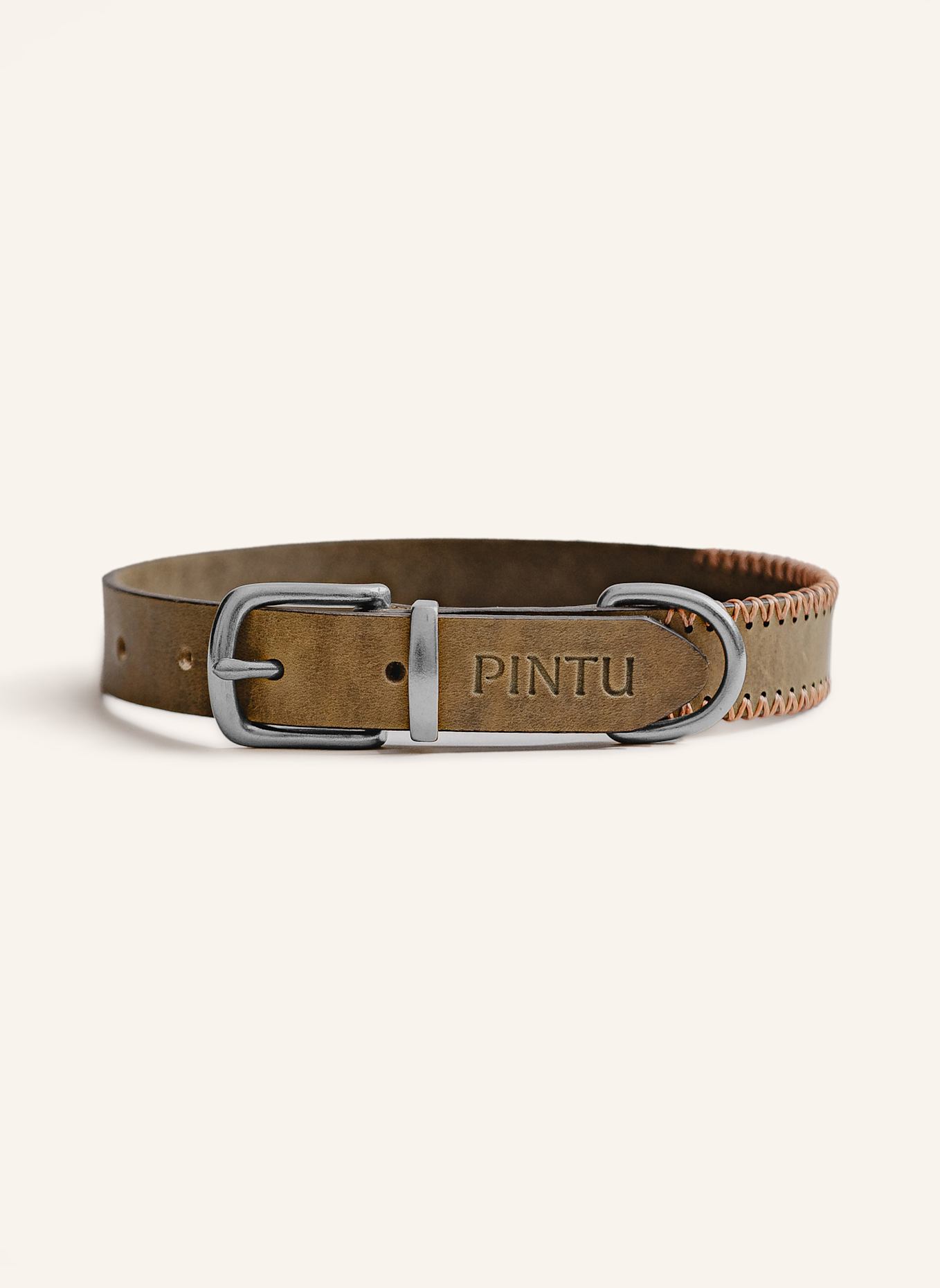 Pintu Hundehalsband PORTHOS mit Beschlag aus Edelstahl: OLIV/ ORANGE