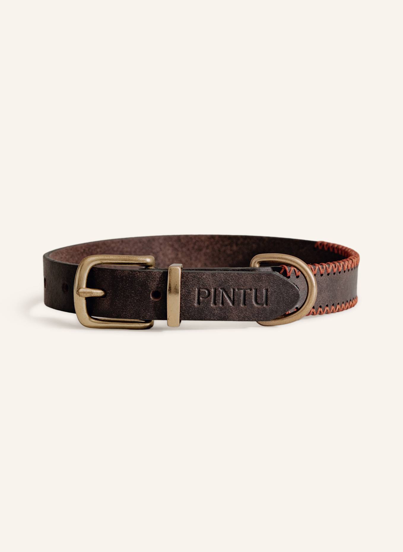Pintu Hundehalsband PORTHOS mit Beschlag aus Messing: BRAUN/ ORANGE
