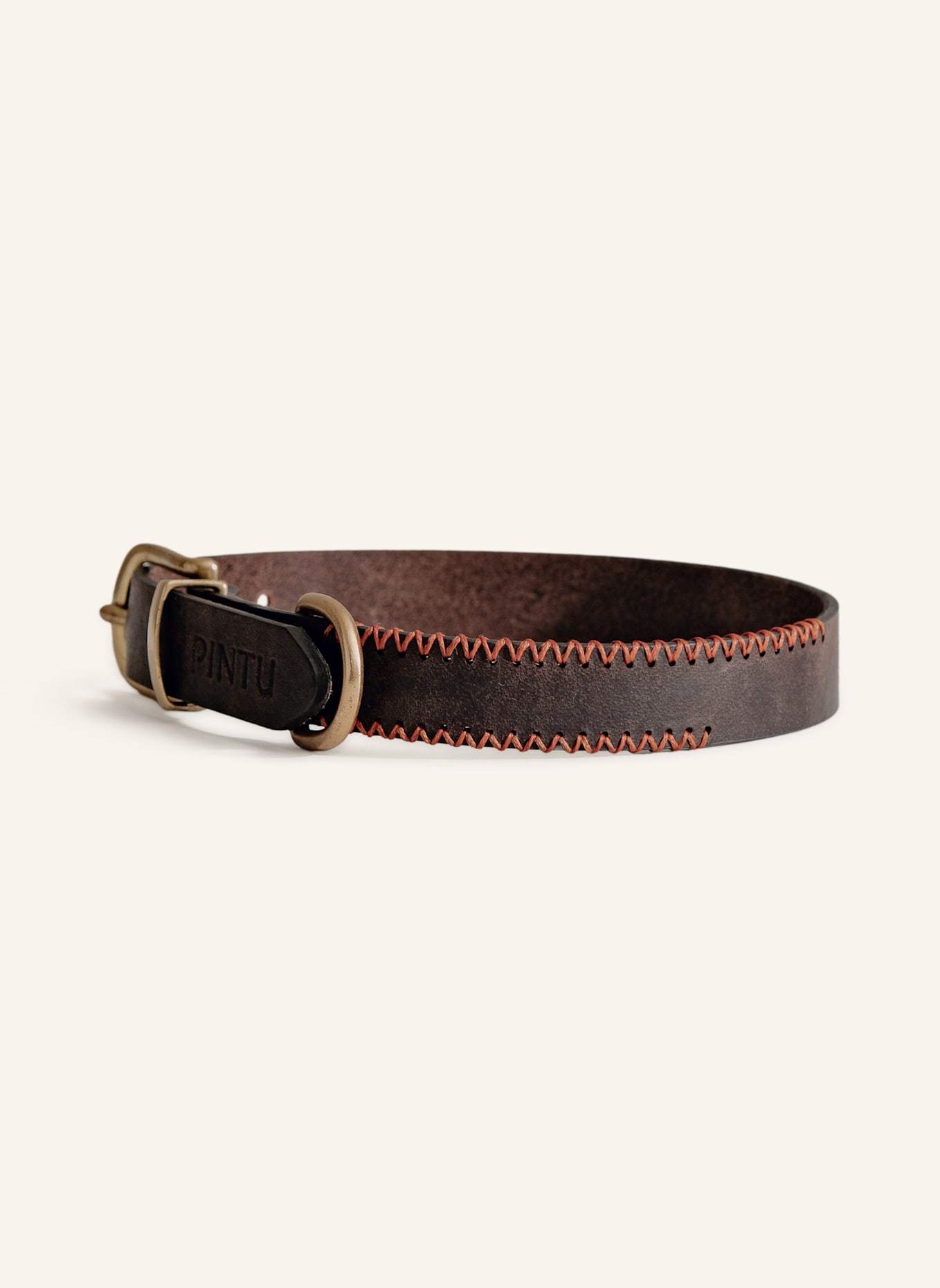 Pintu Hundehalsband PORTHOS mit Beschlag aus Messing: BRAUN/ ORANGE