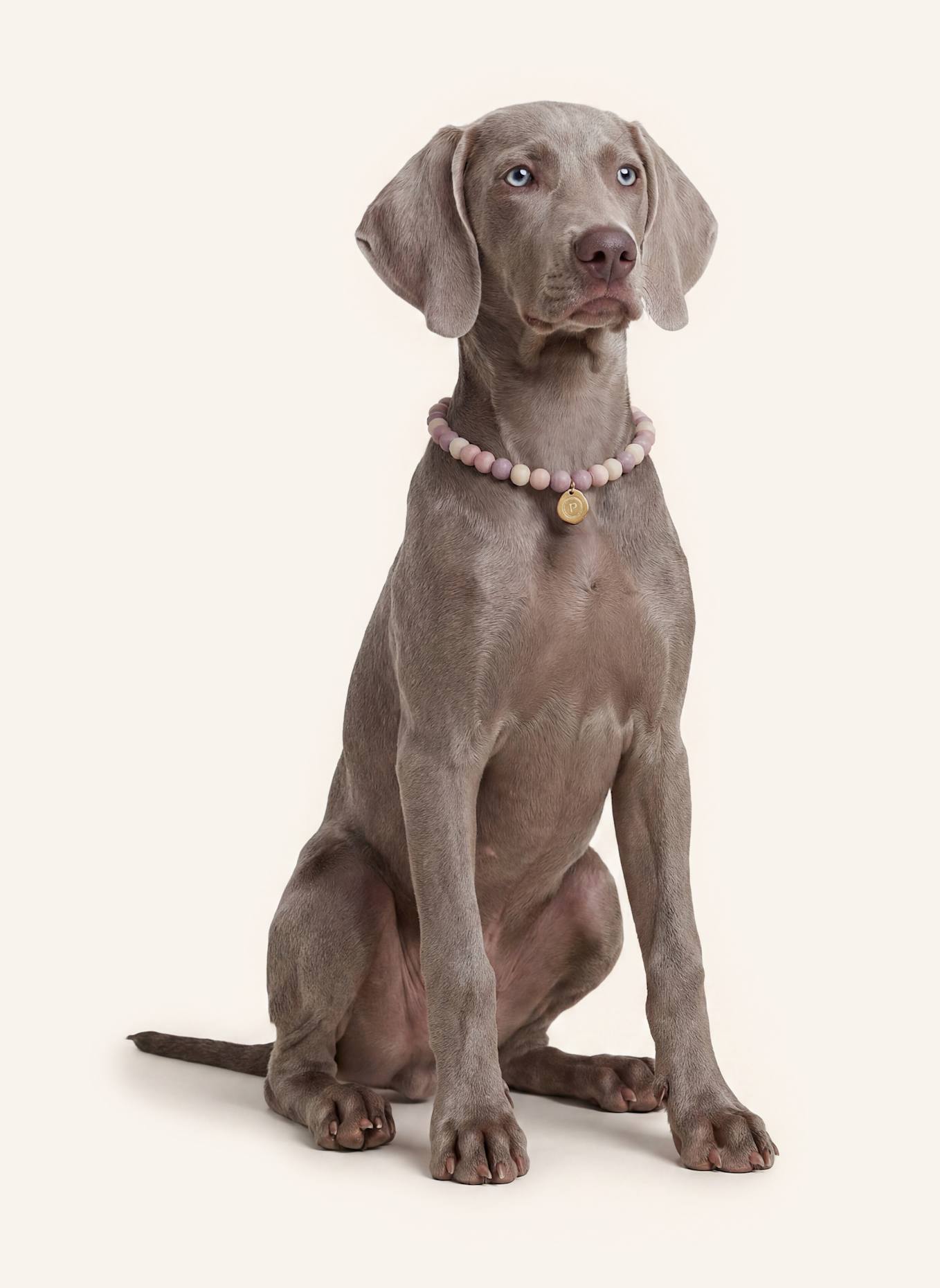 Pintu Große Hundekette: BEIGE/ GOLD