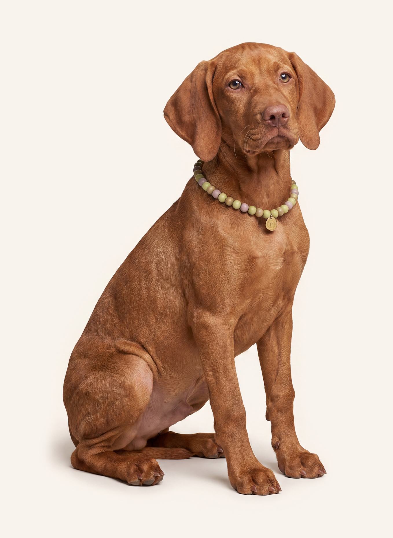 Pintu Große Hundekette: GRÜN/ GOLD