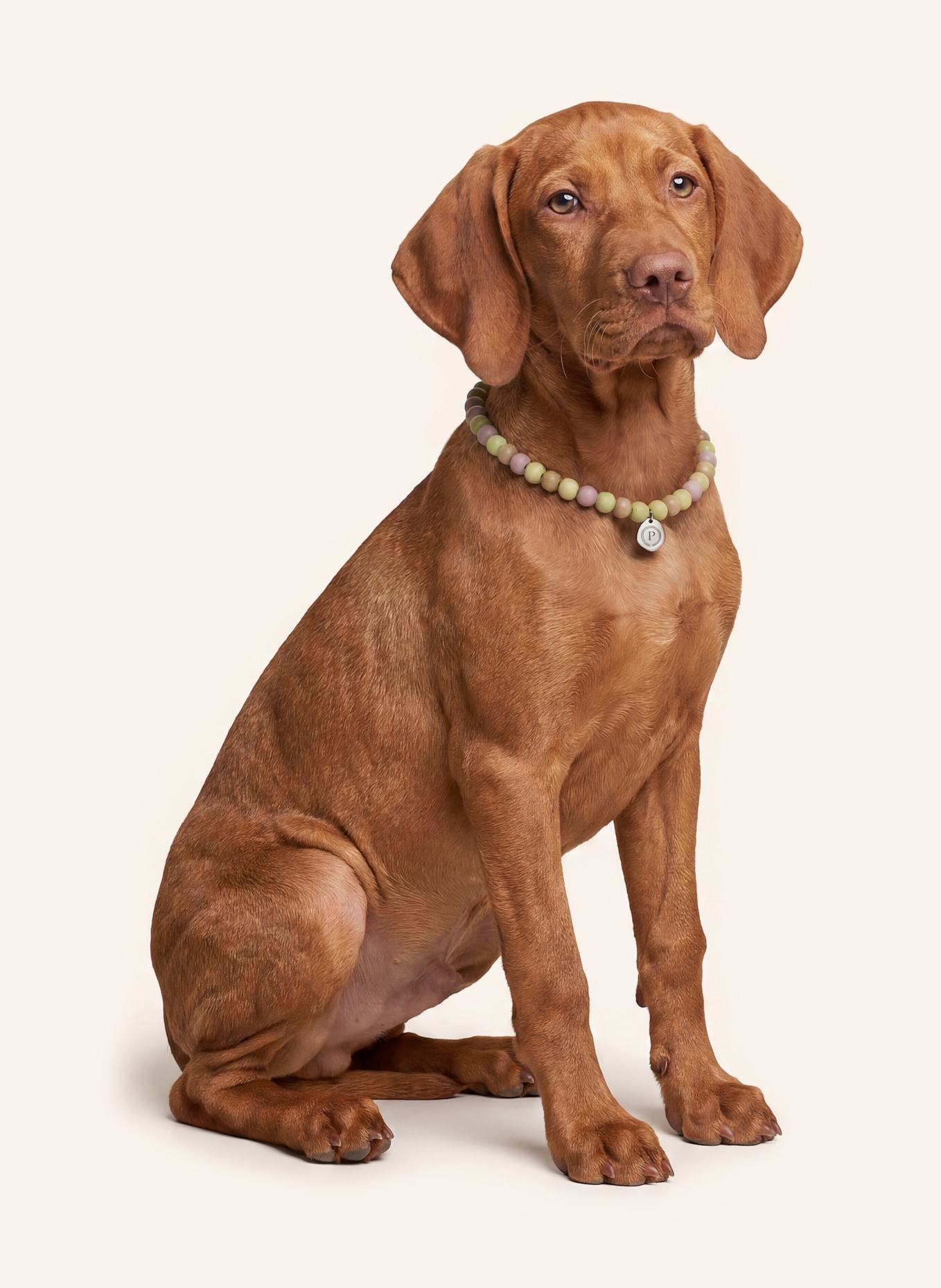 Pintu Große Hundekette: GRÜN/ SILBER