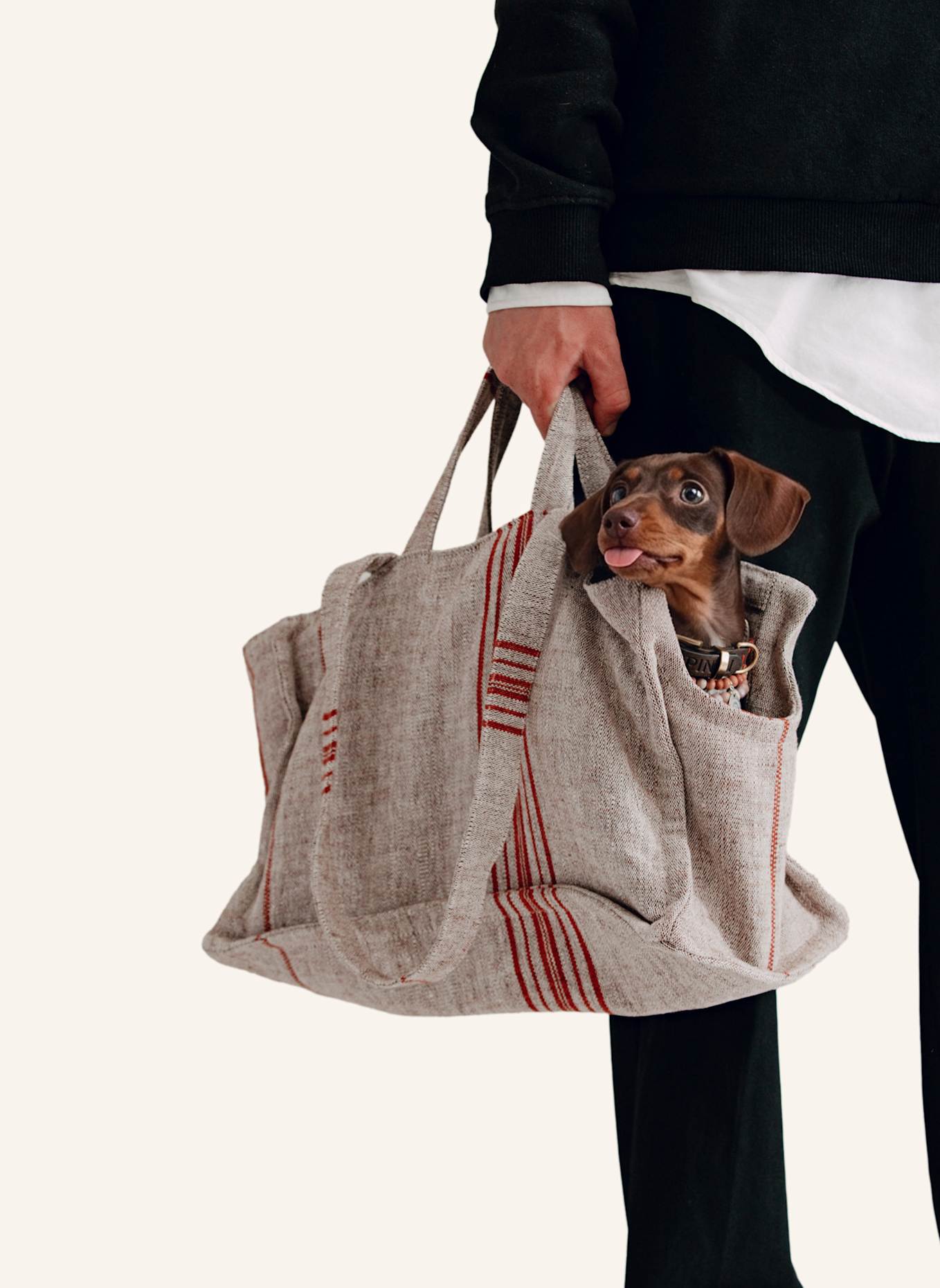 Pintu Hunde Shopper VERANO CANNES: ORANGE/ BRAUN