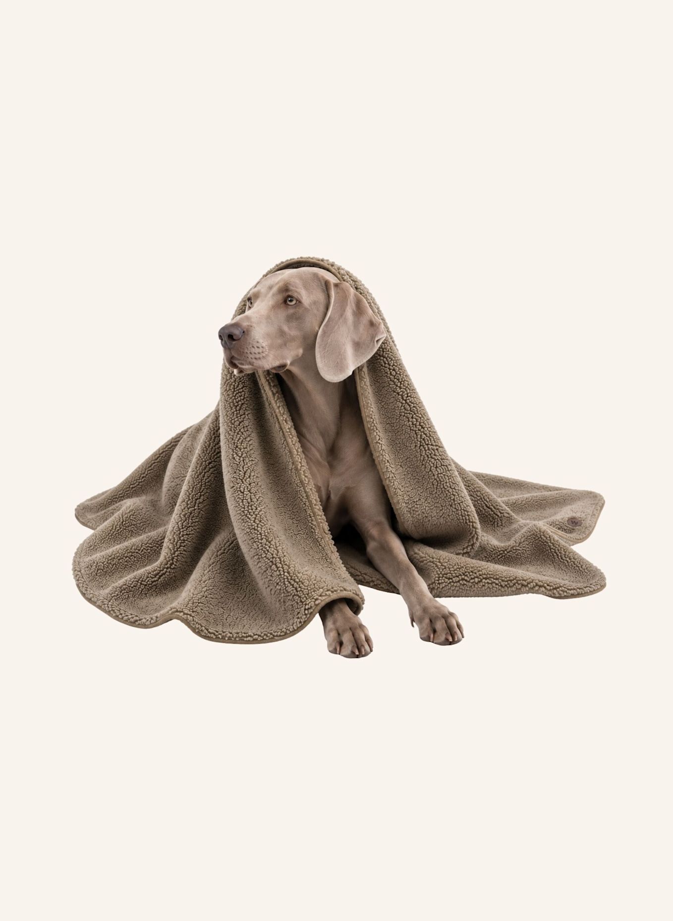 WOOFSTUFF Hundedecke PLUSH: TAUPE