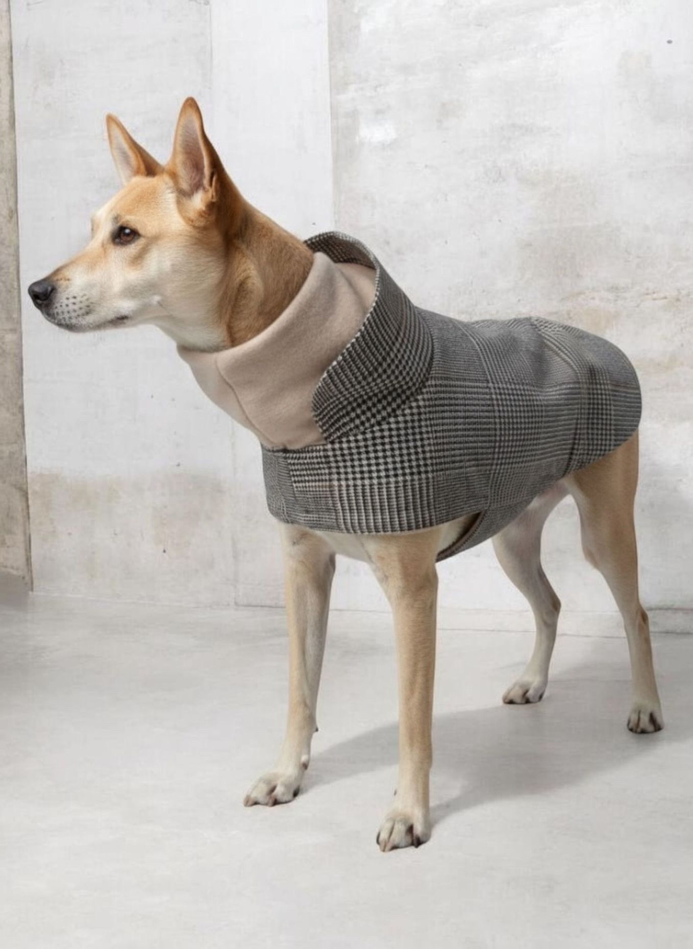 WOOFSTUFF Cloud7 Hundemantel BROOKLYN SHERLOCK: BEIGE / SCHWARZ / BRAUN