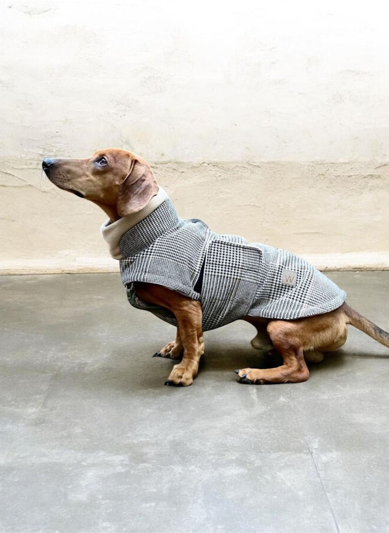 WOOFSTUFF Cloud7 Hundemantel BROOKLYN SHERLOCK DACKEL: BEIGE / SCHWARZ / BRAUN
